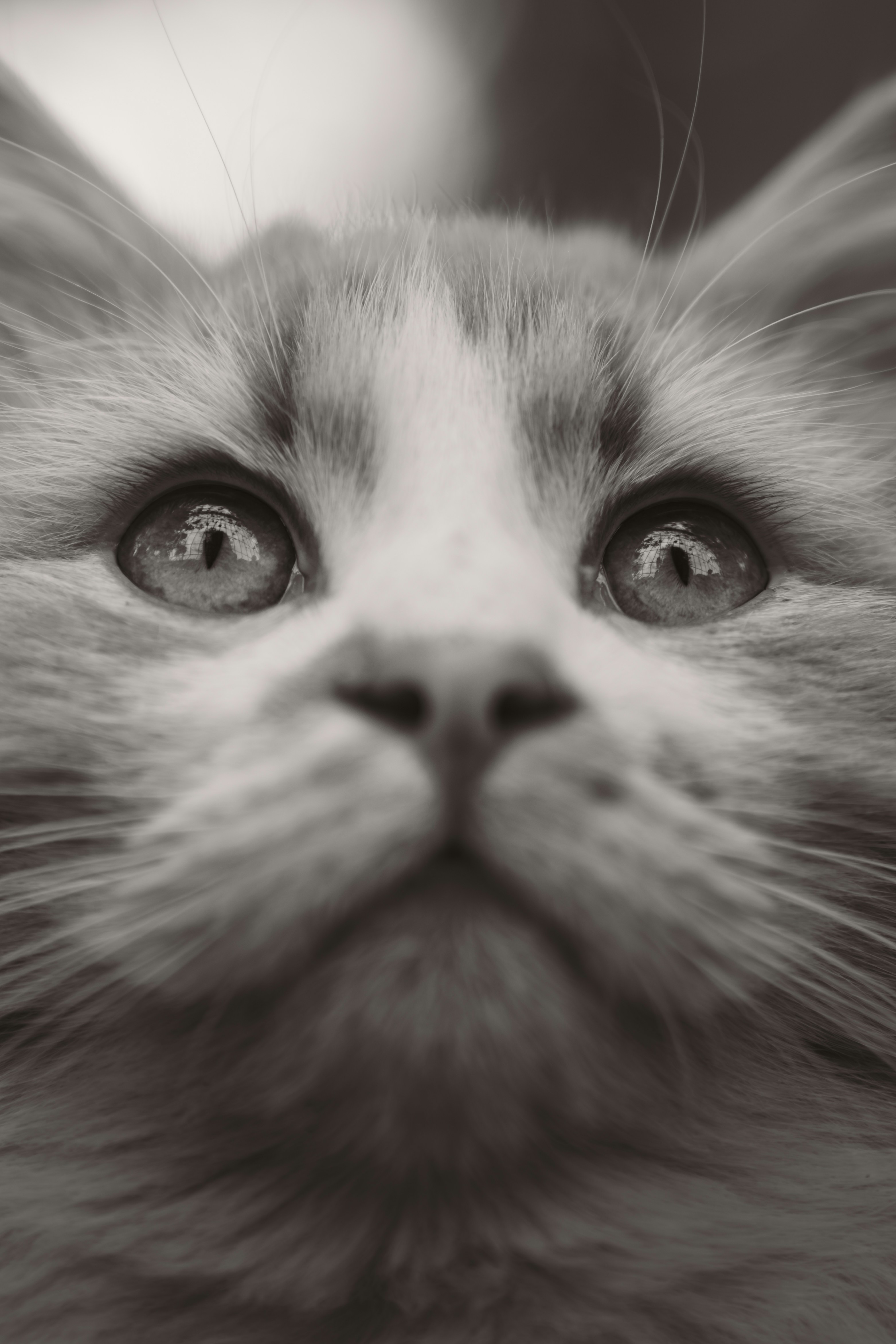 Gentle Communication Style (image credits: unsplash)