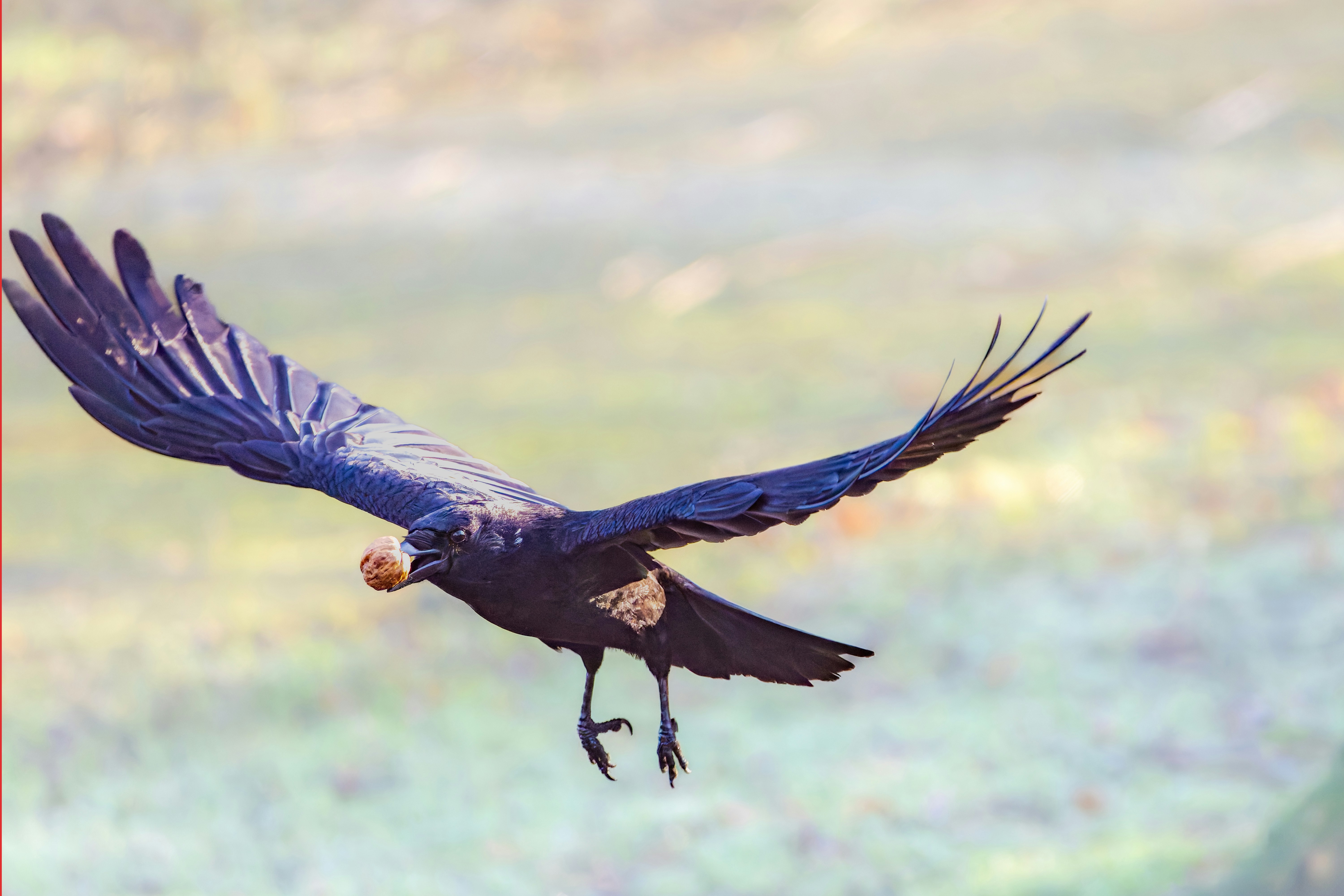 Photo by siegfriedpoepperl