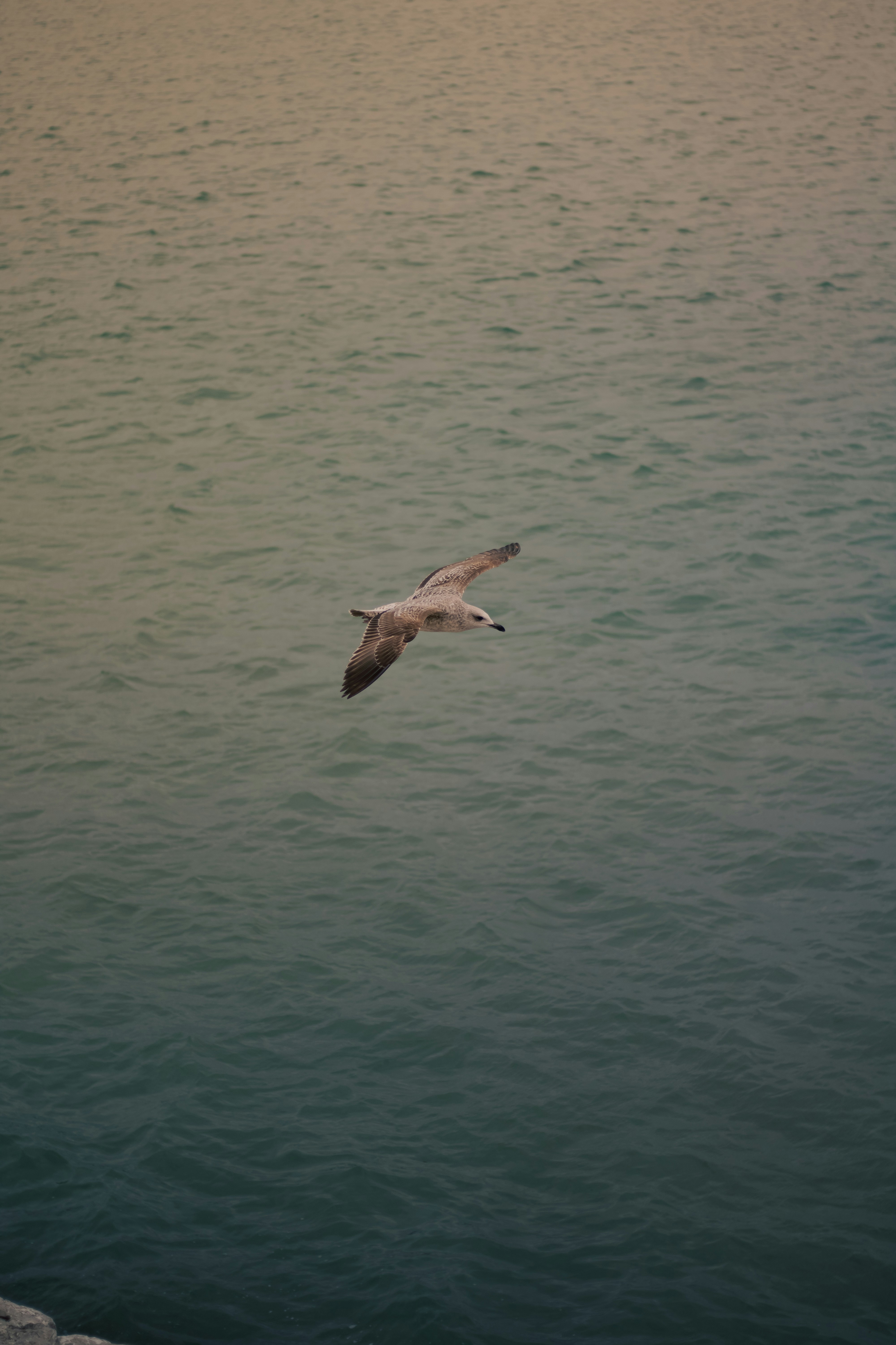 Photo by yassine_egh