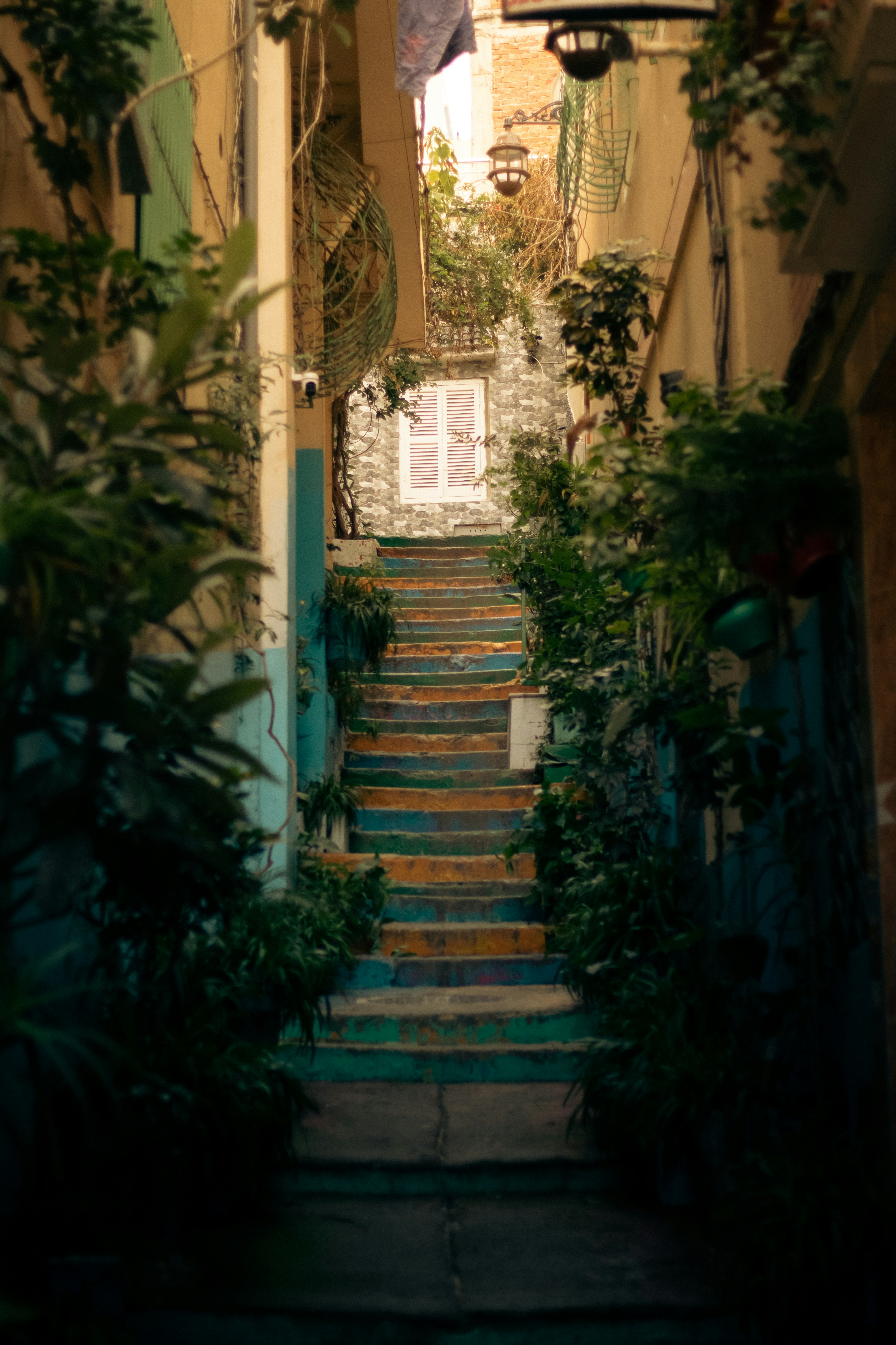 Photo by yassine_egh