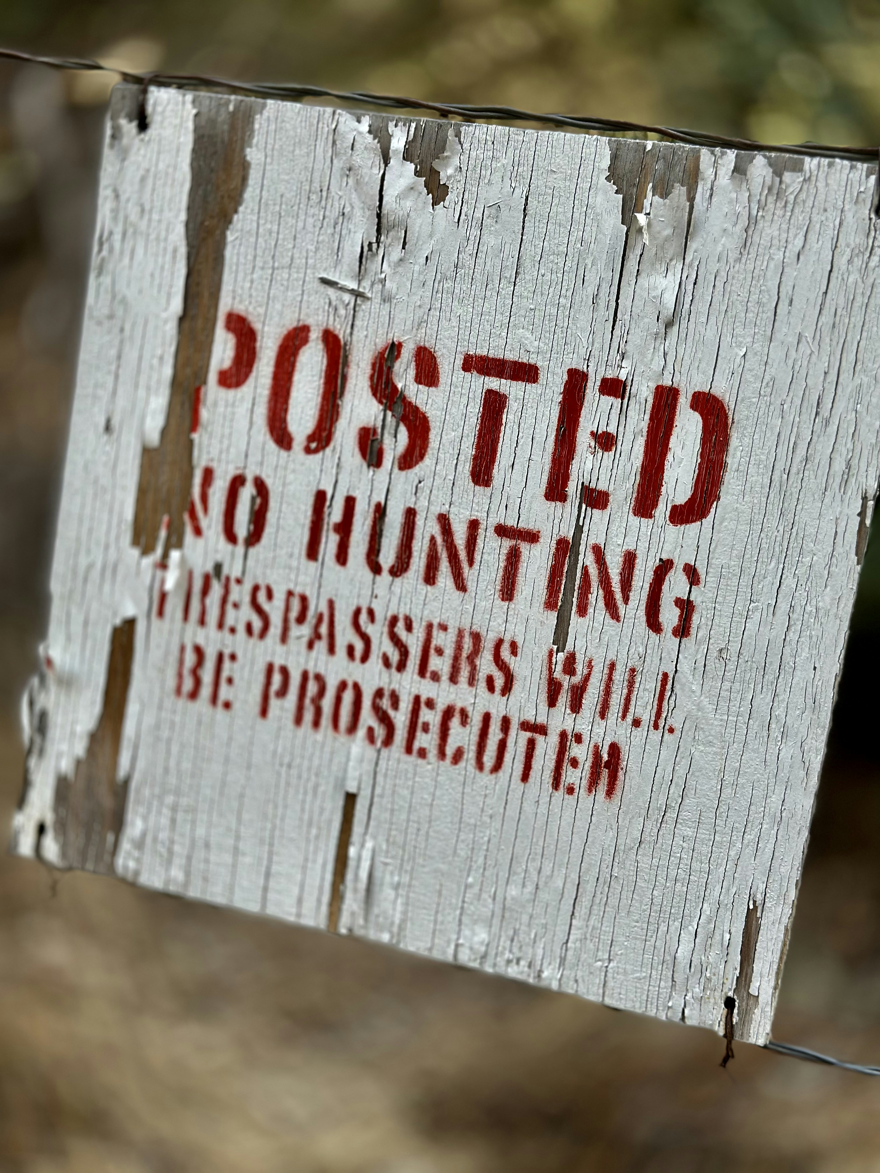 A sign posted on a fence that says posted no hunting