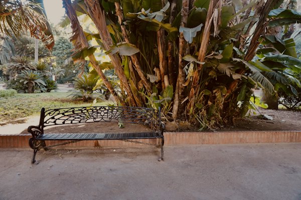 A bench sitting in the middle of a park — Algiers, Algeria