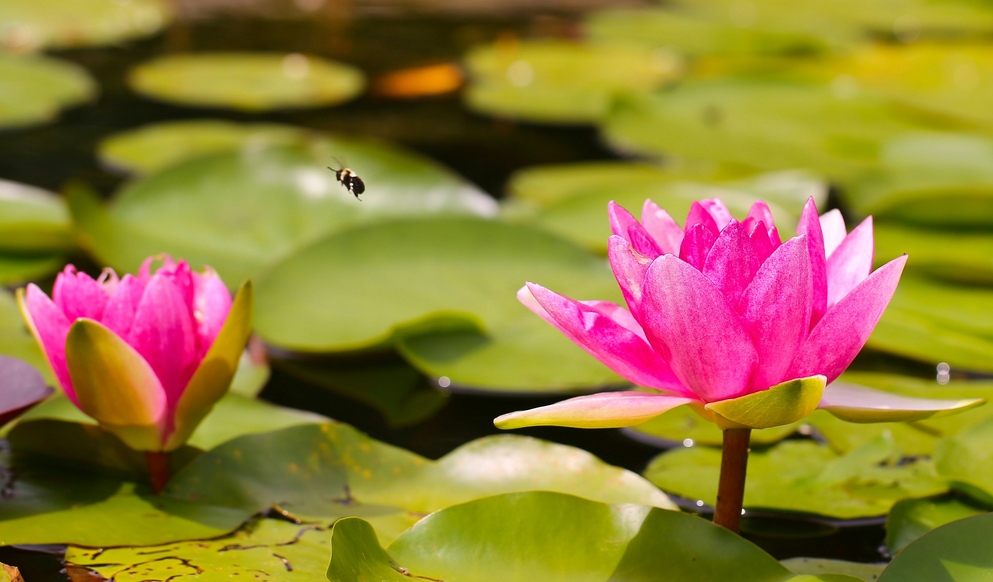 Photo by terry885908