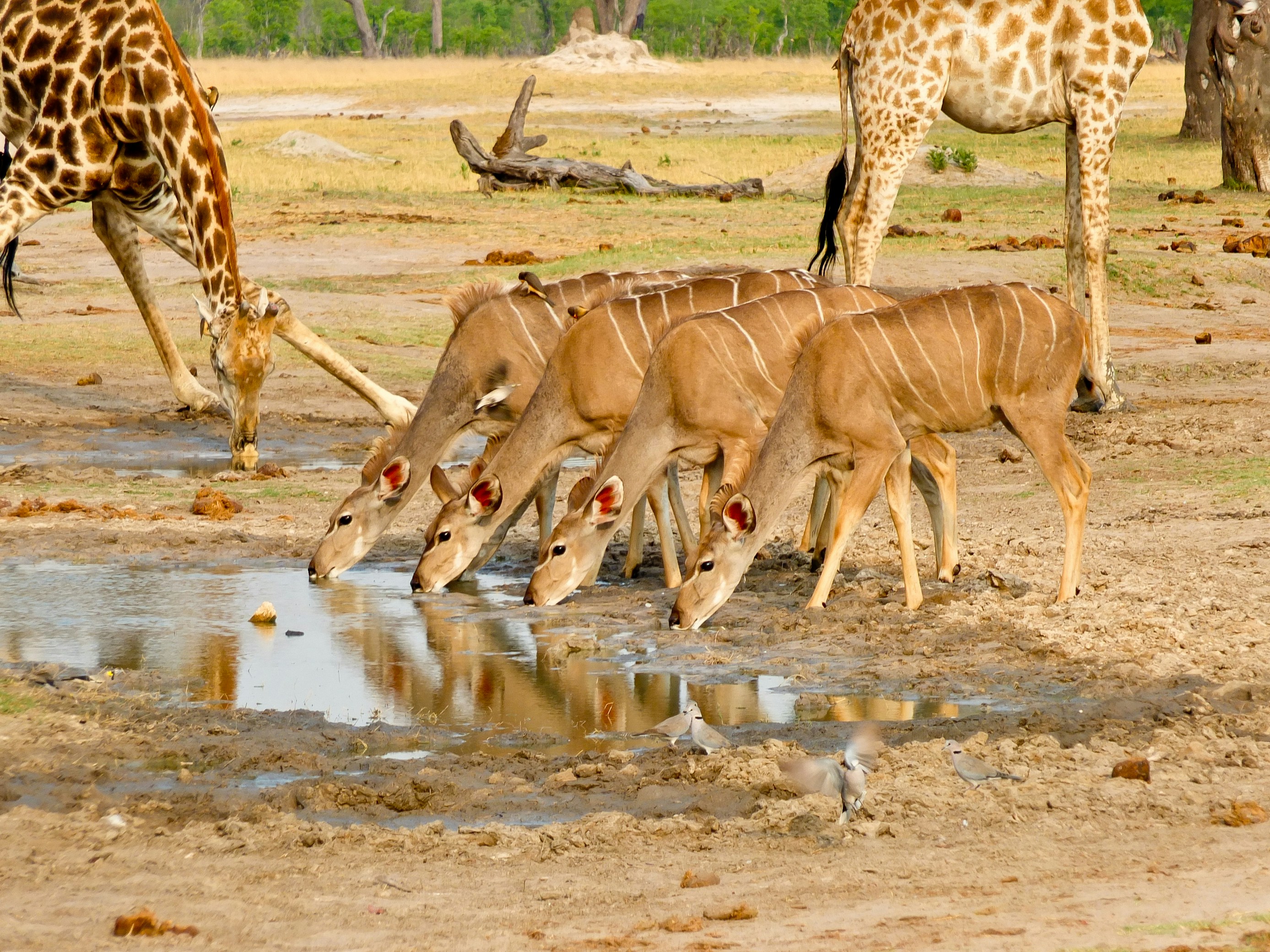 Photo by terry885908