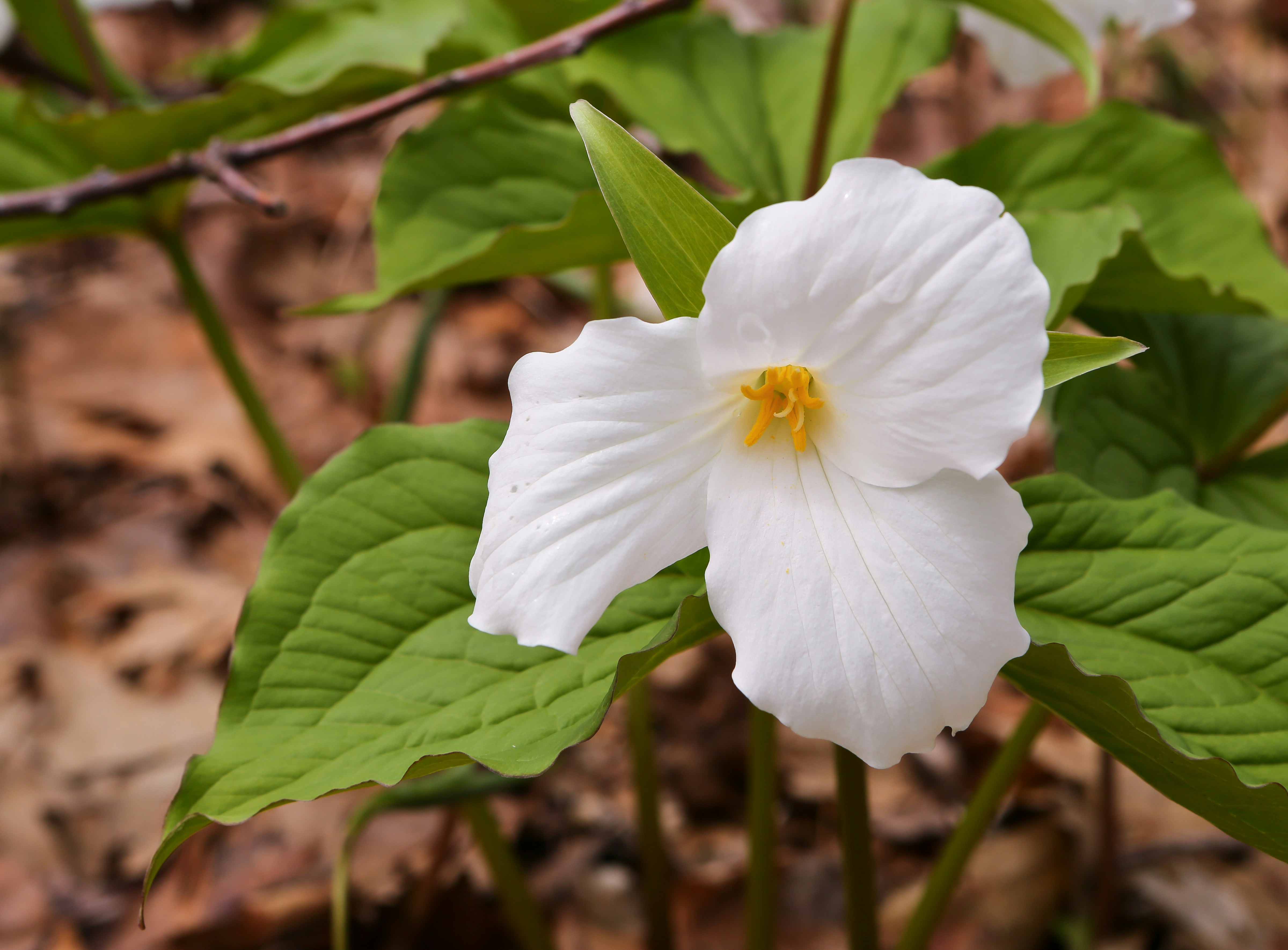 Photo by terry885908