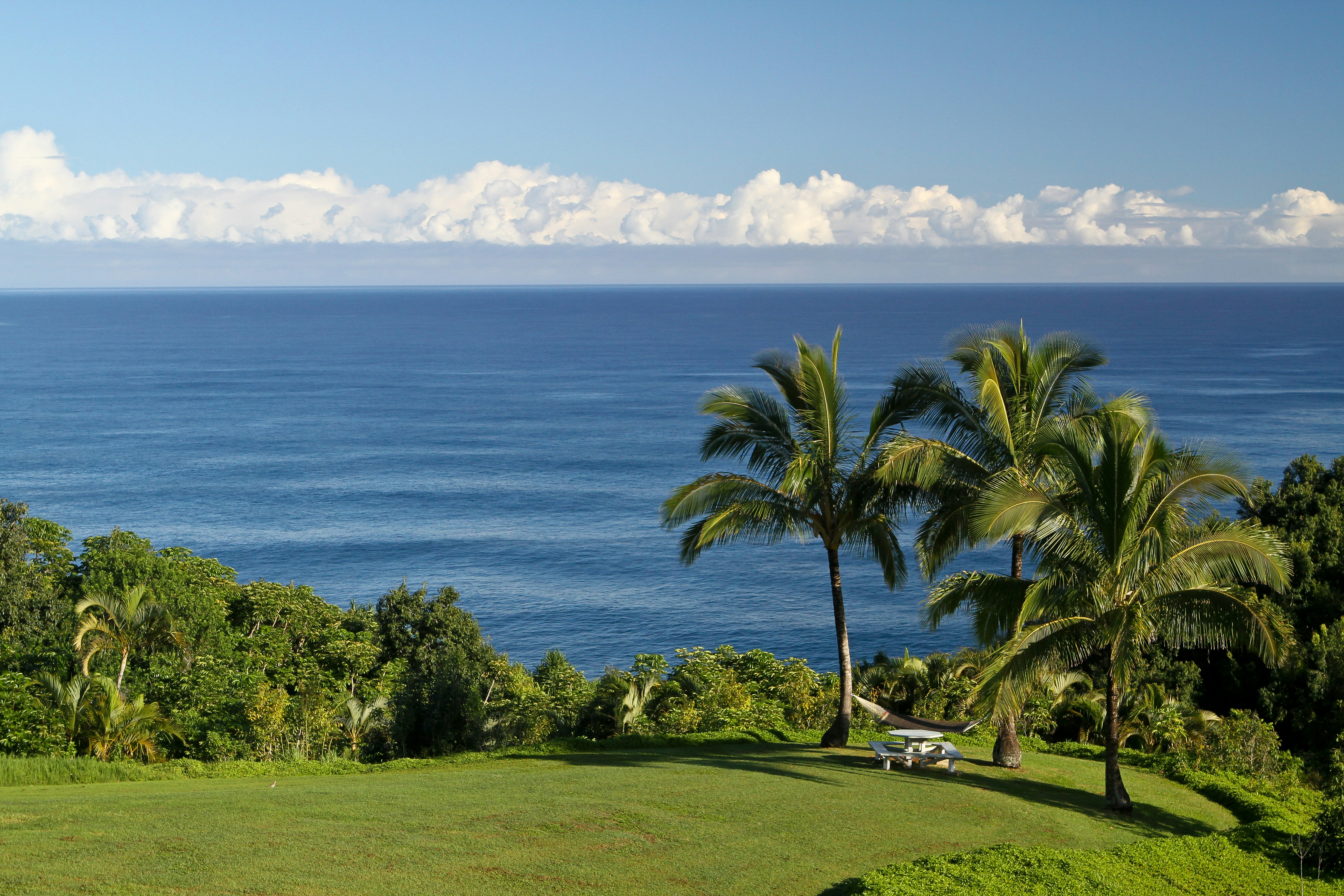 Photo by terry885908