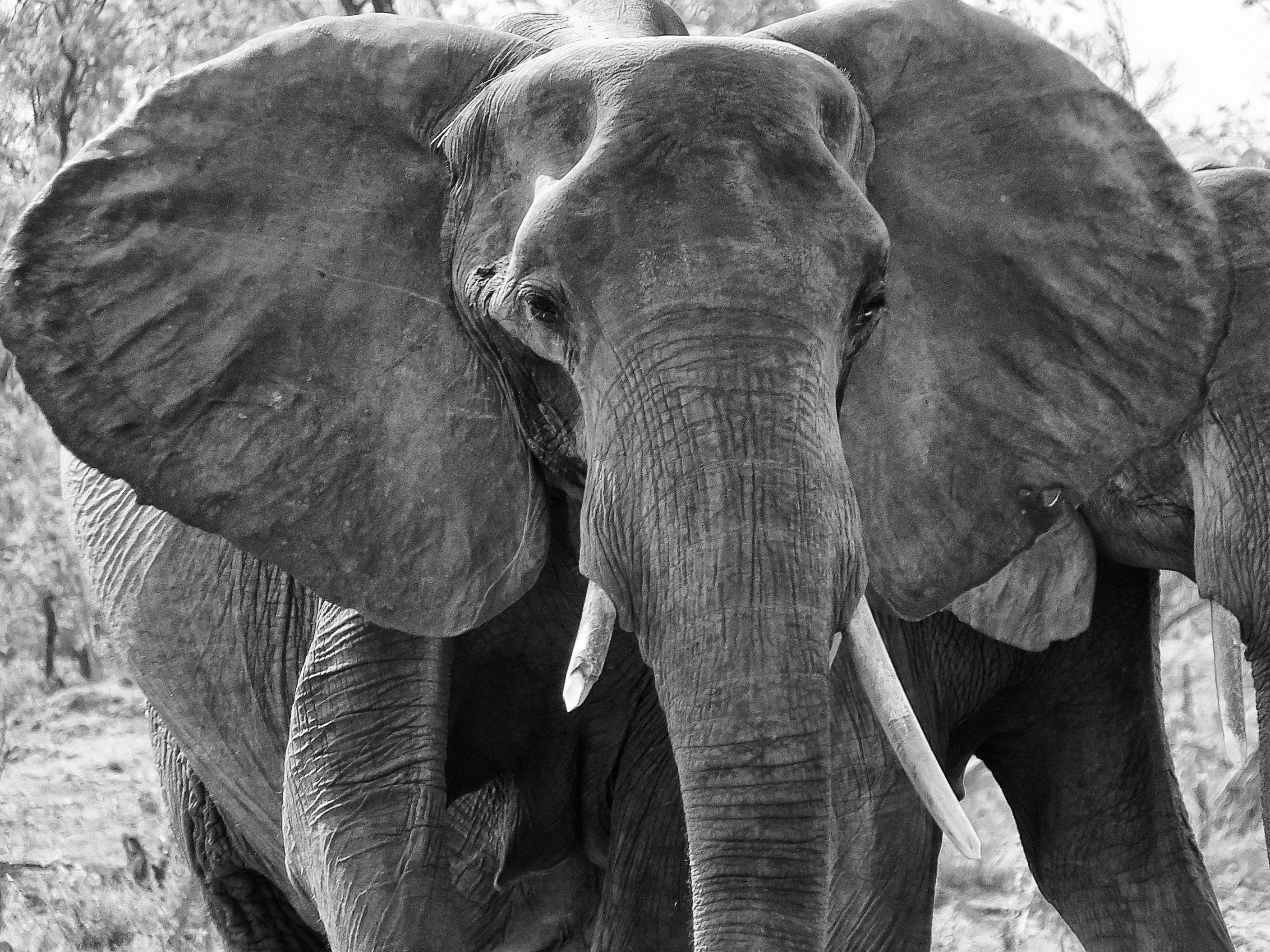 Photo by terry885908