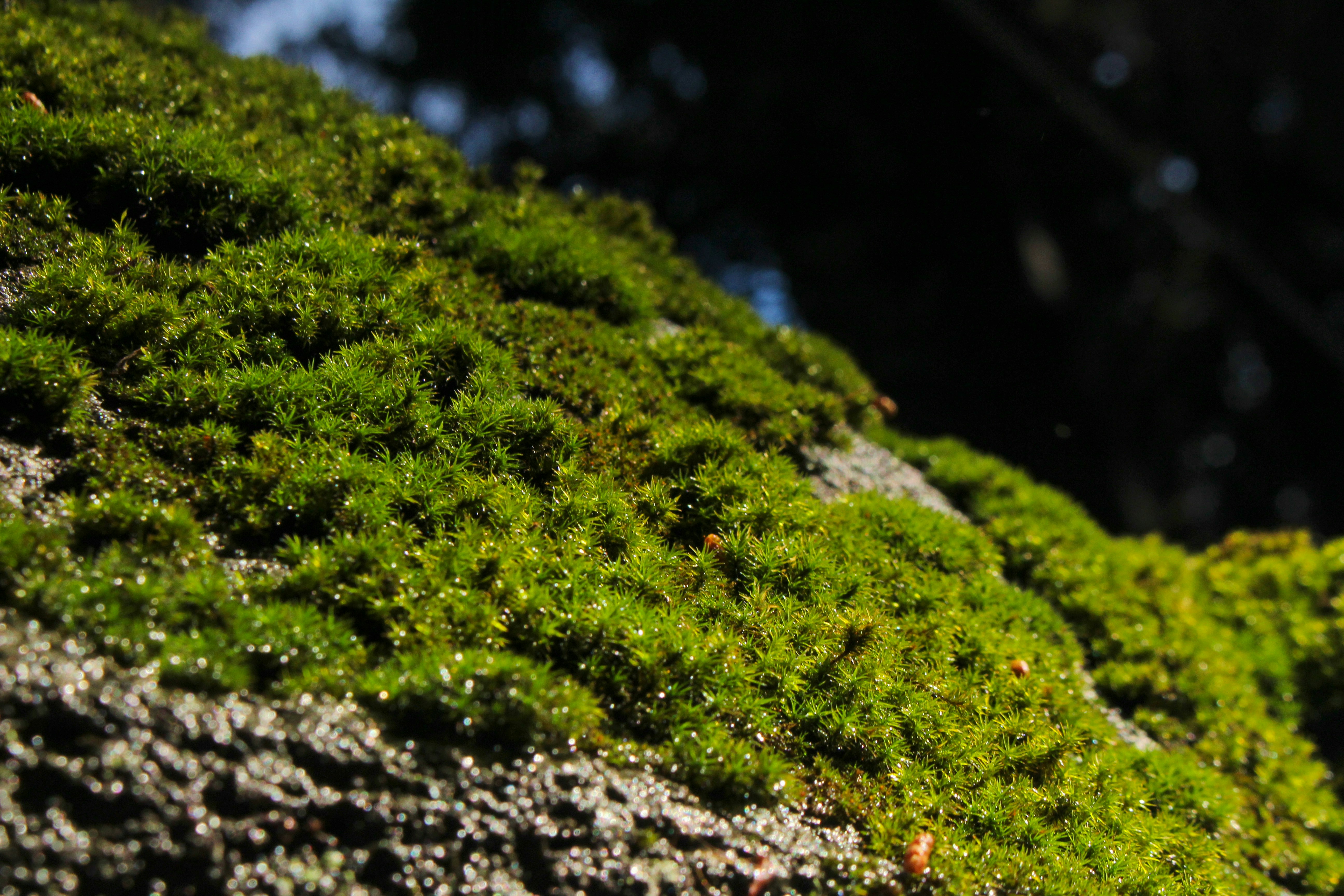 Photo by elijahaustin