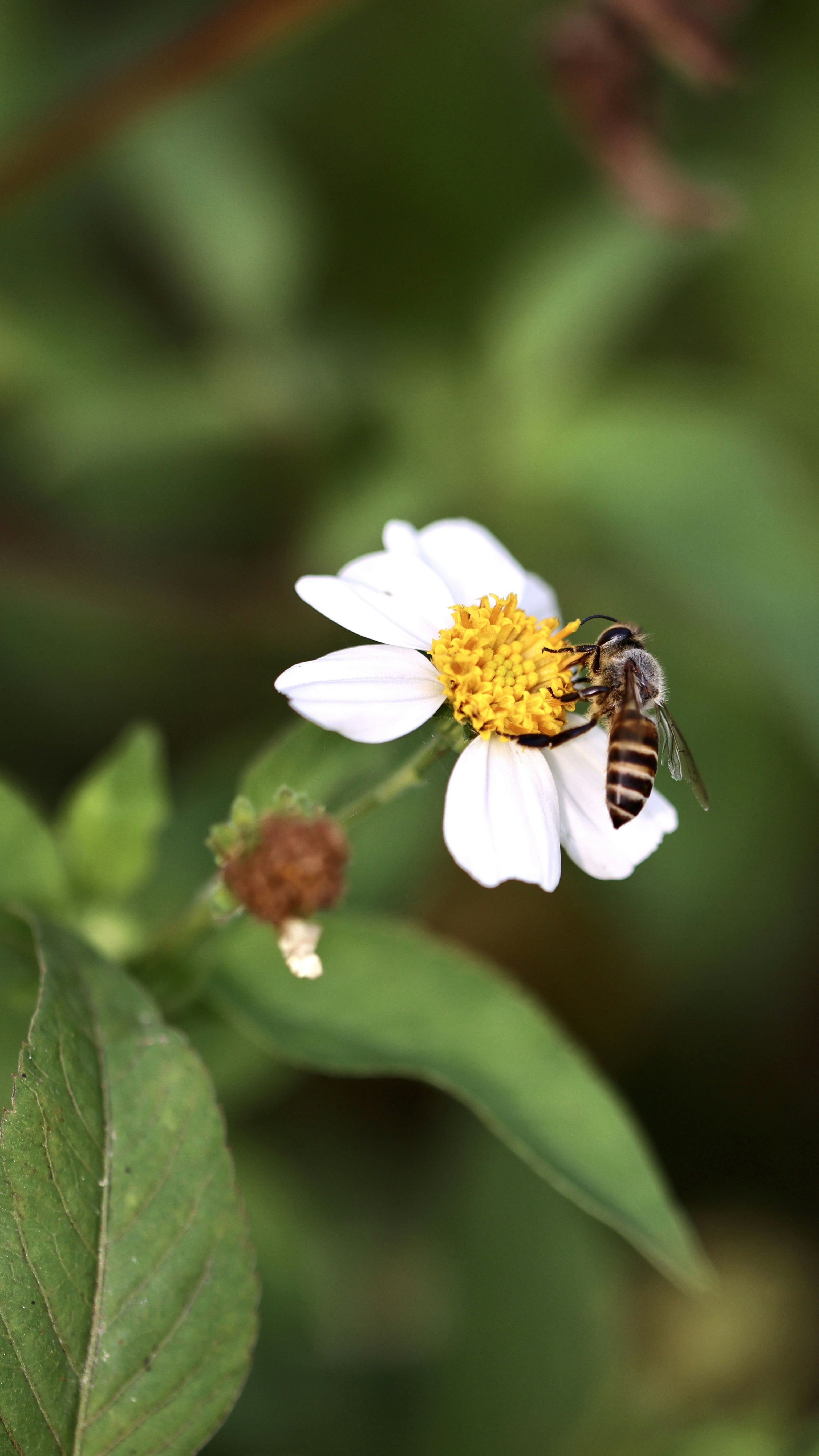 Photo by dickenslin76