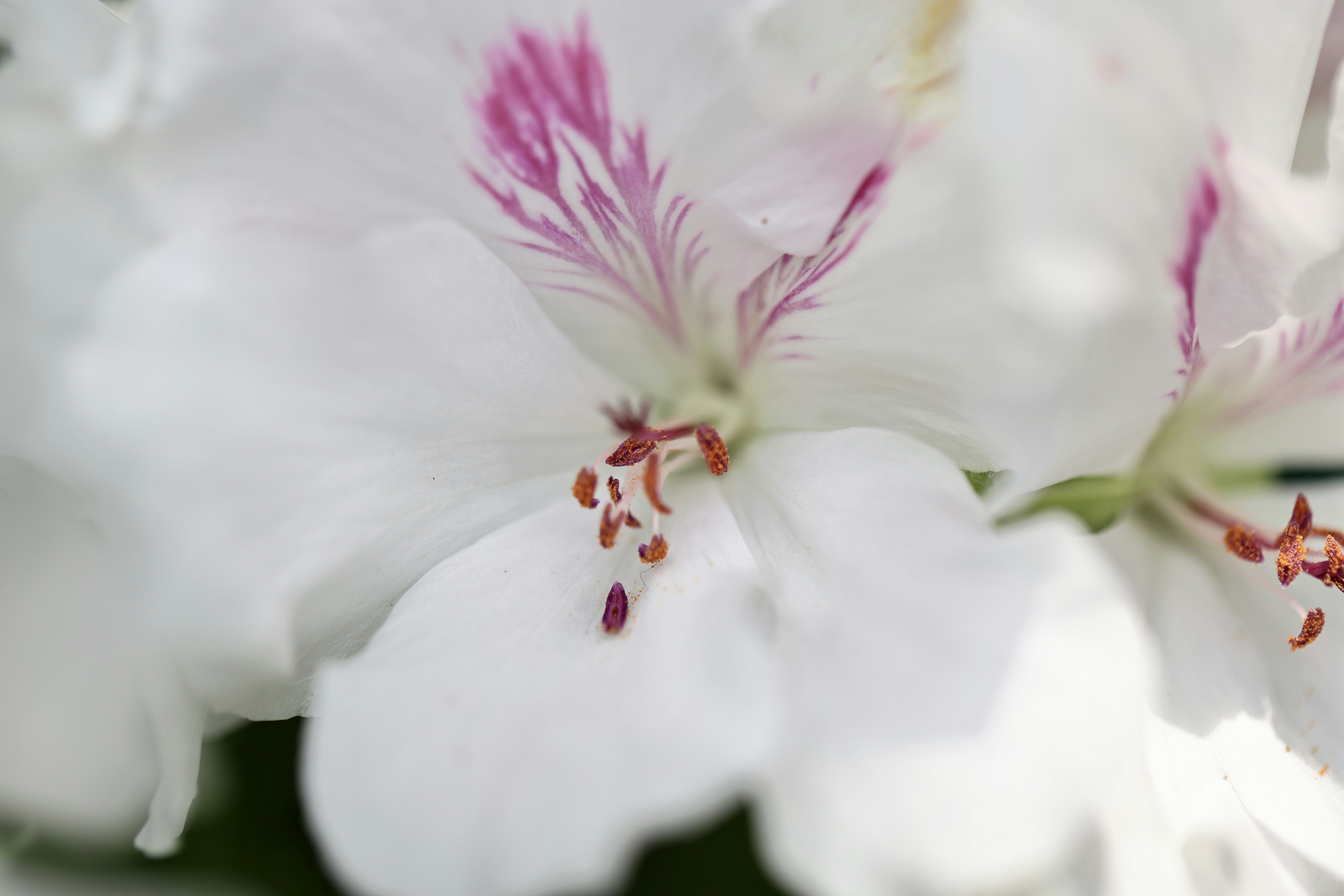 Photo by dickenslin76