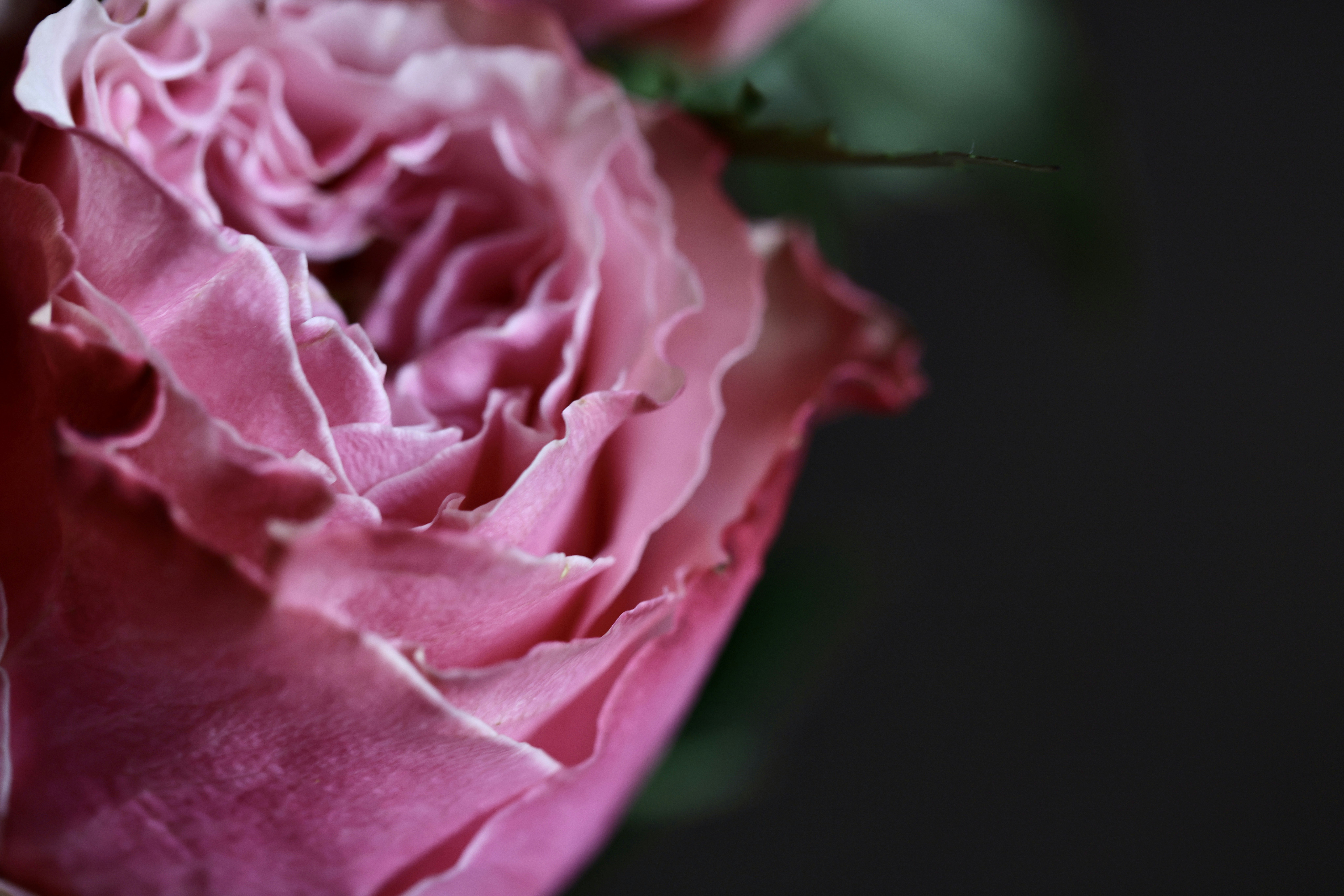 Photo by dickenslin76