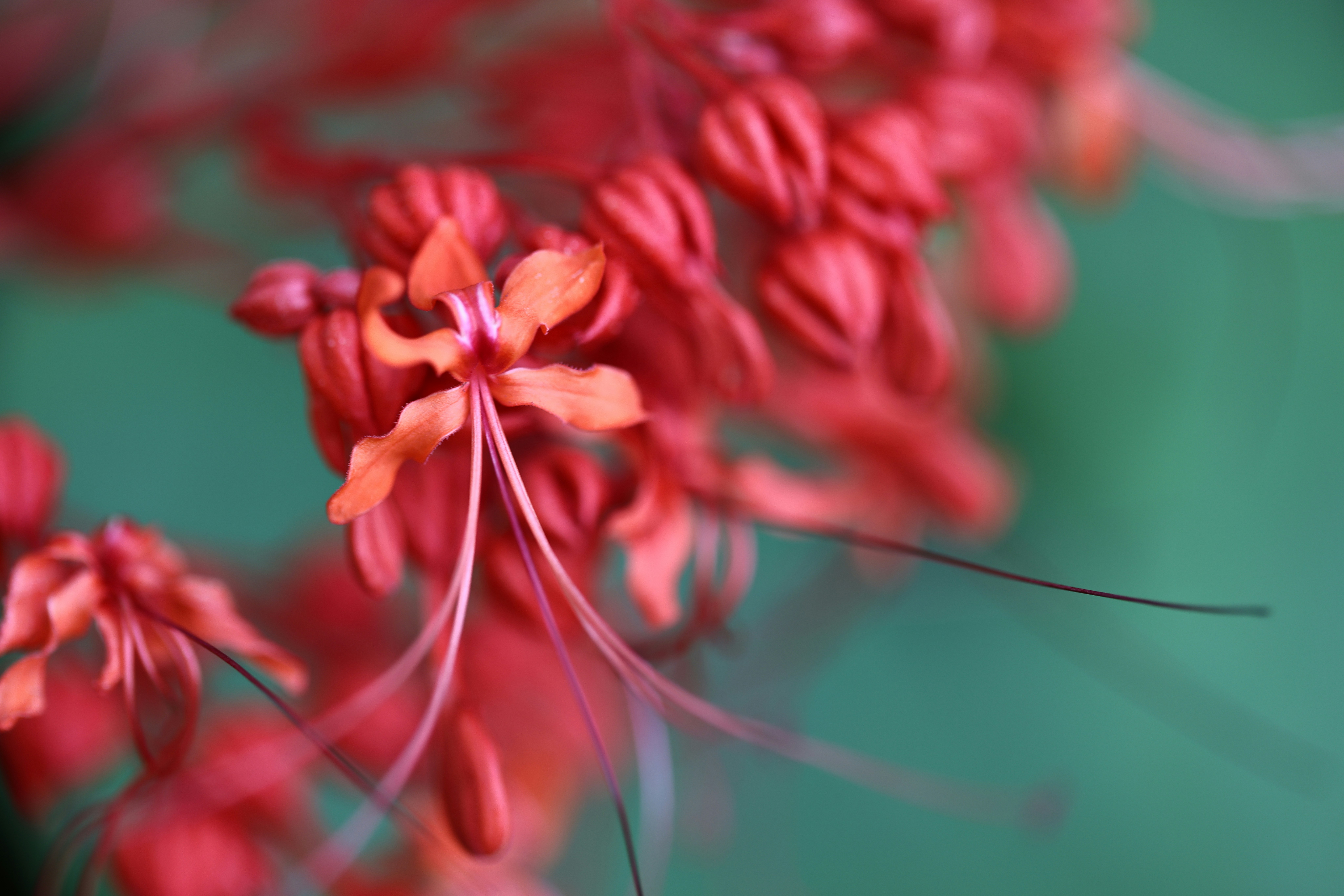 Photo by dickenslin76