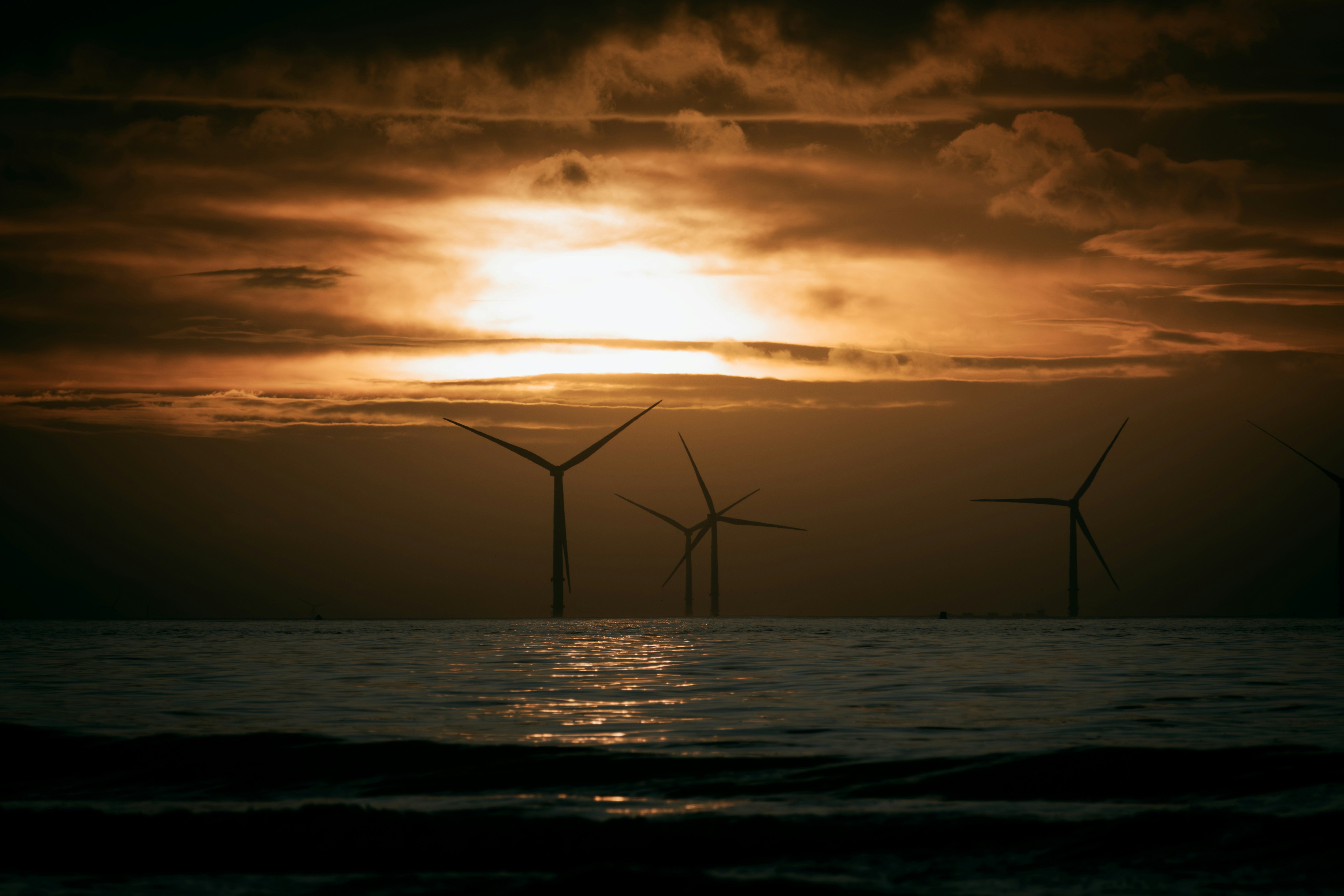 Photo by saulbanderaxi