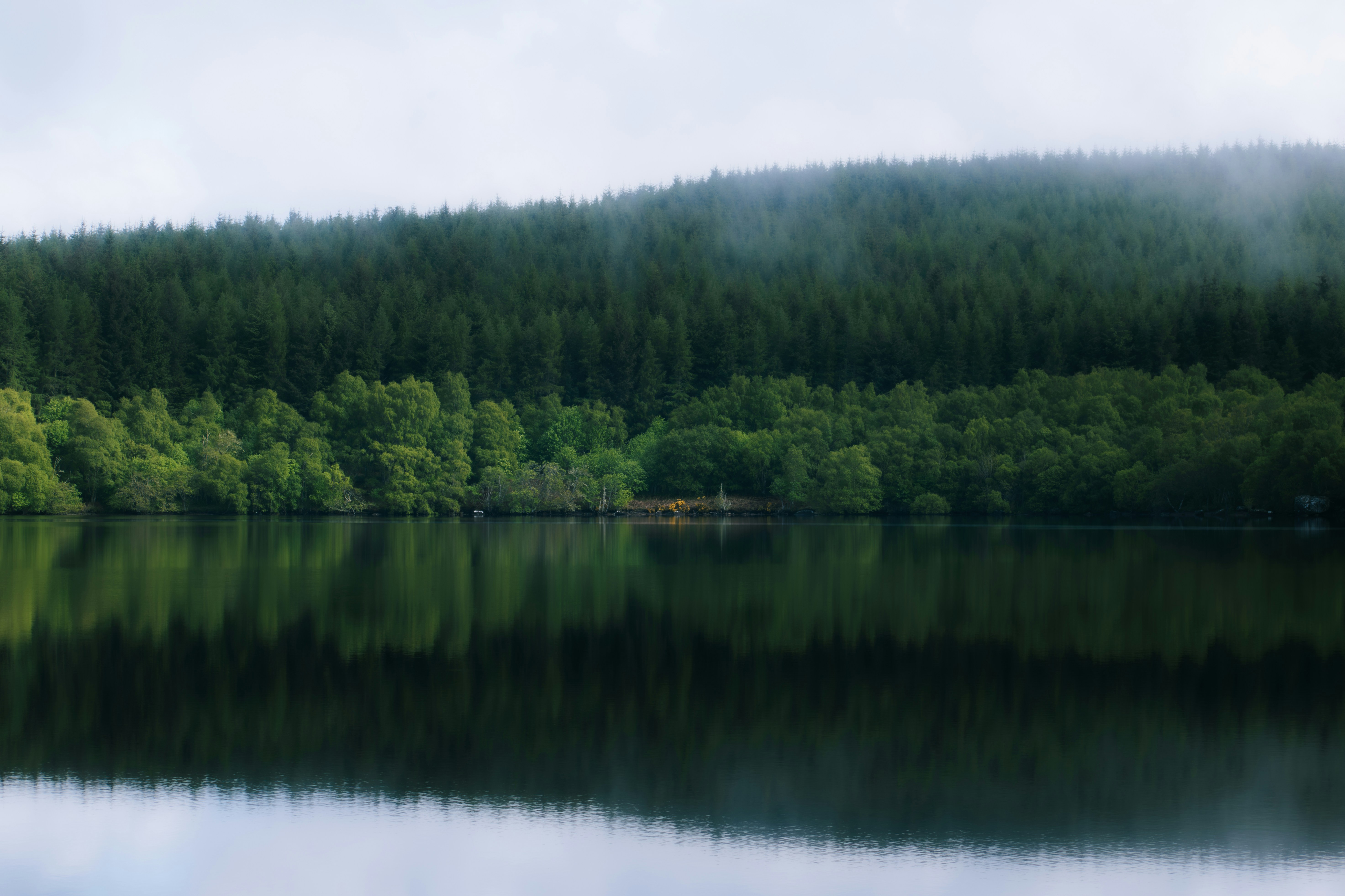 Photo by saulbanderaxi