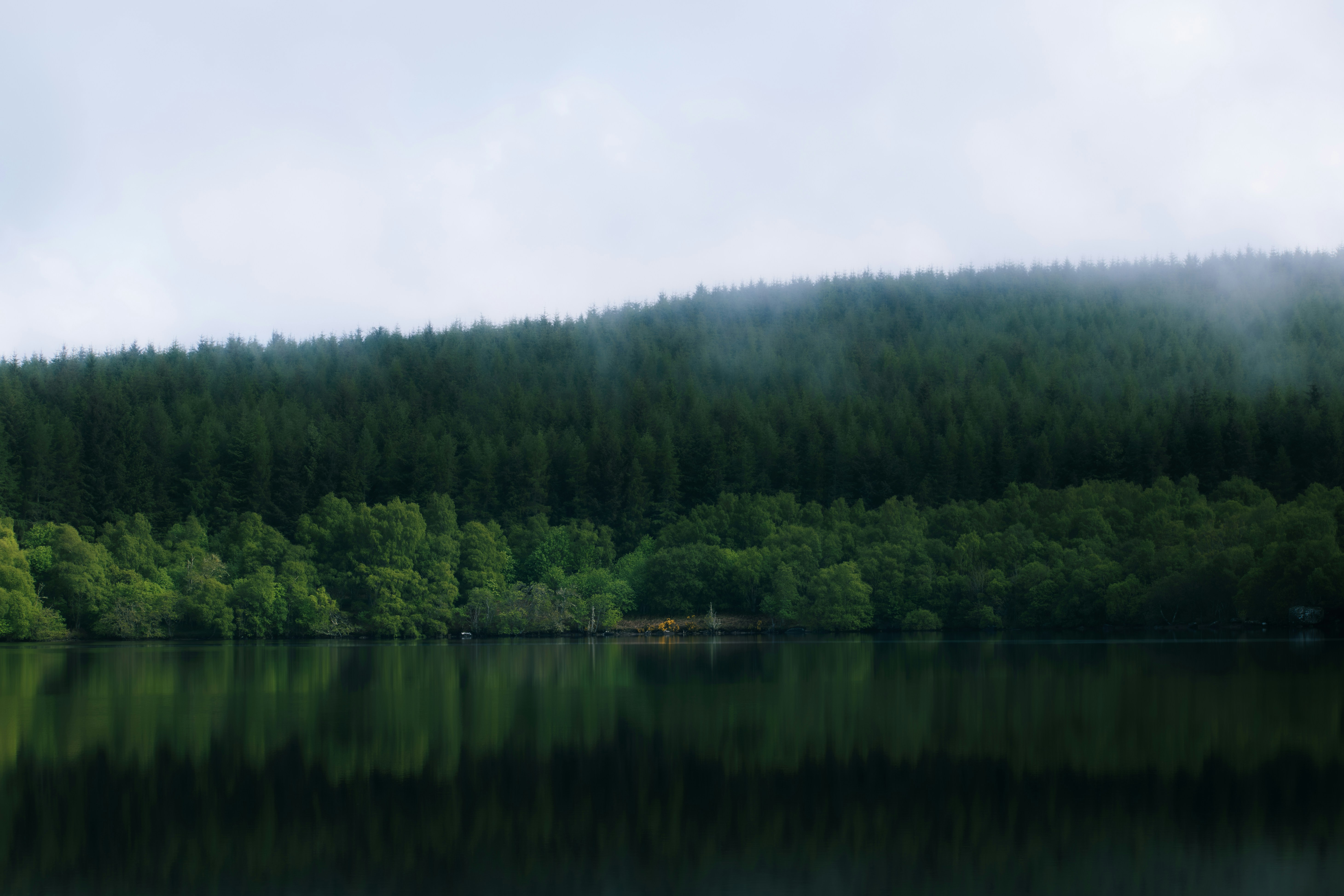 Photo by saulbanderaxi