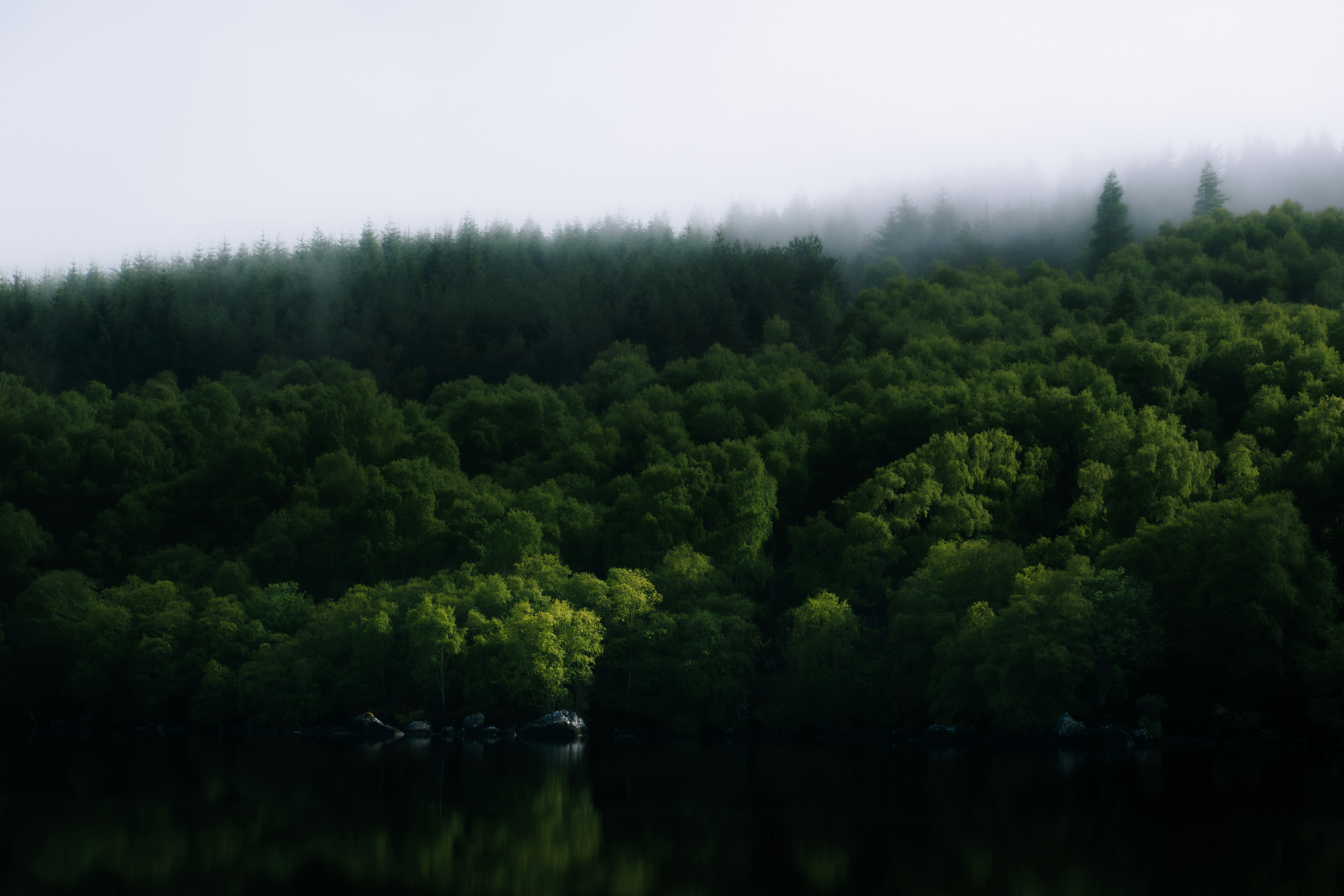 Photo by saulbanderaxi