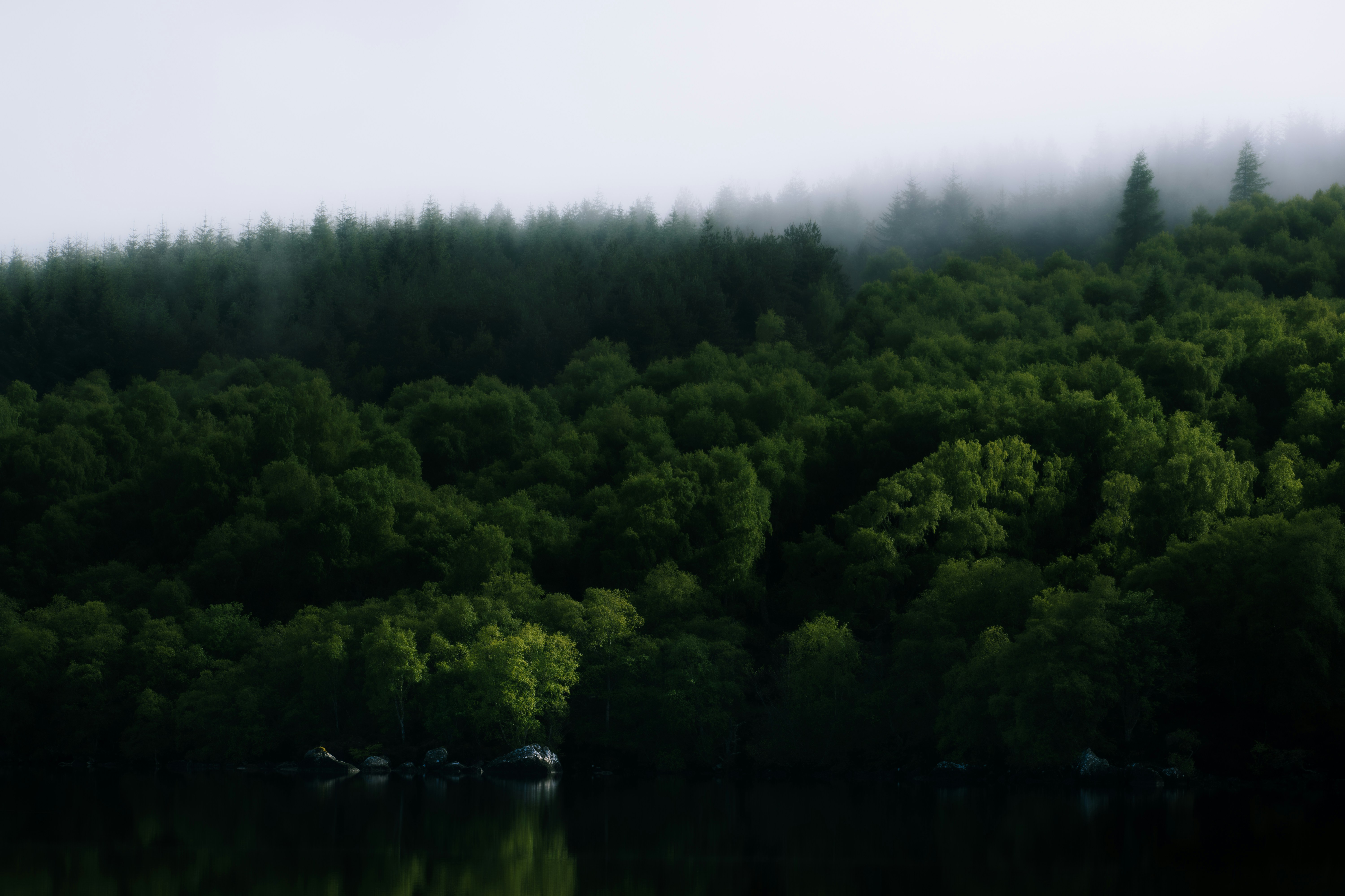 Photo by saulbanderaxi