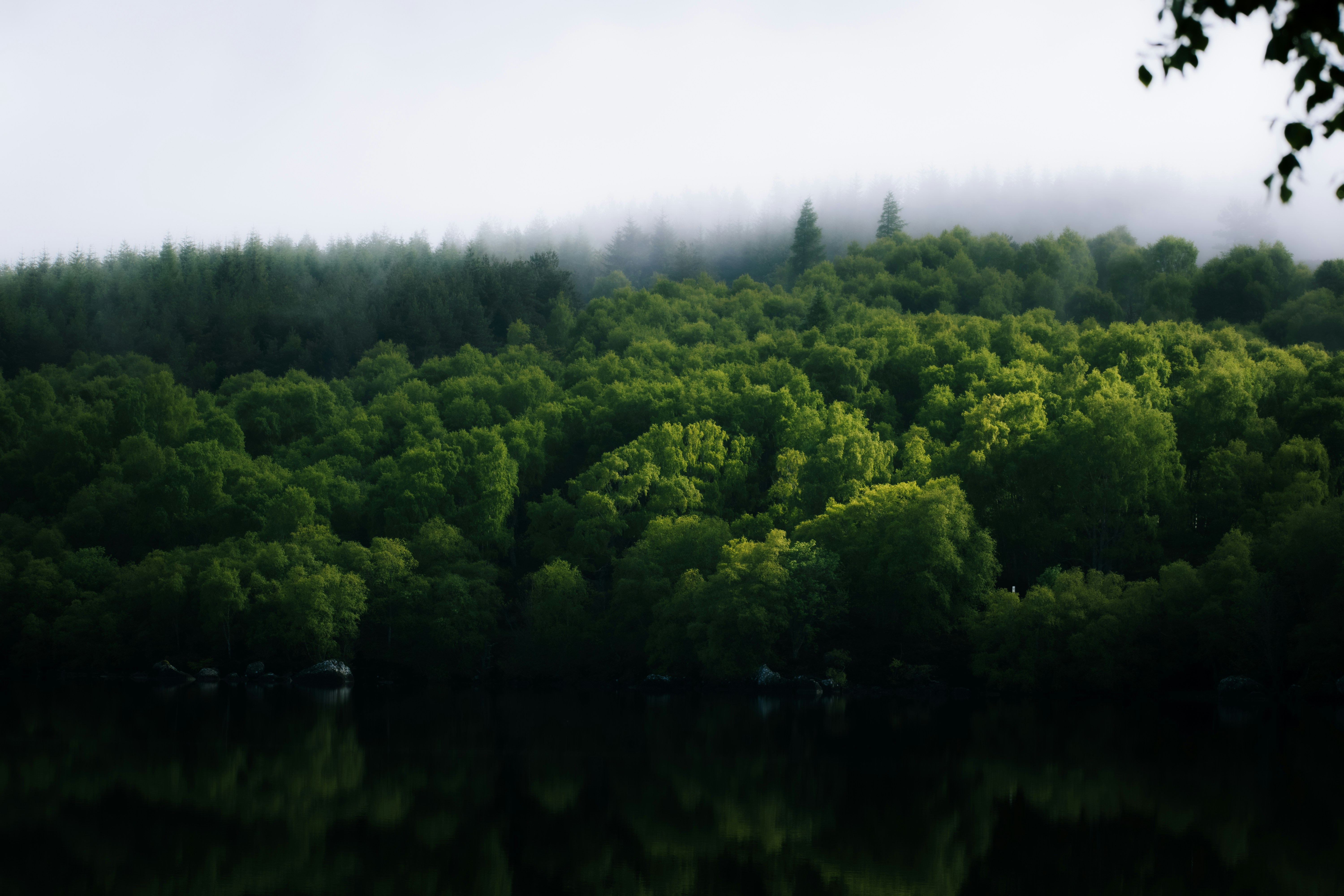 Photo by saulbanderaxi