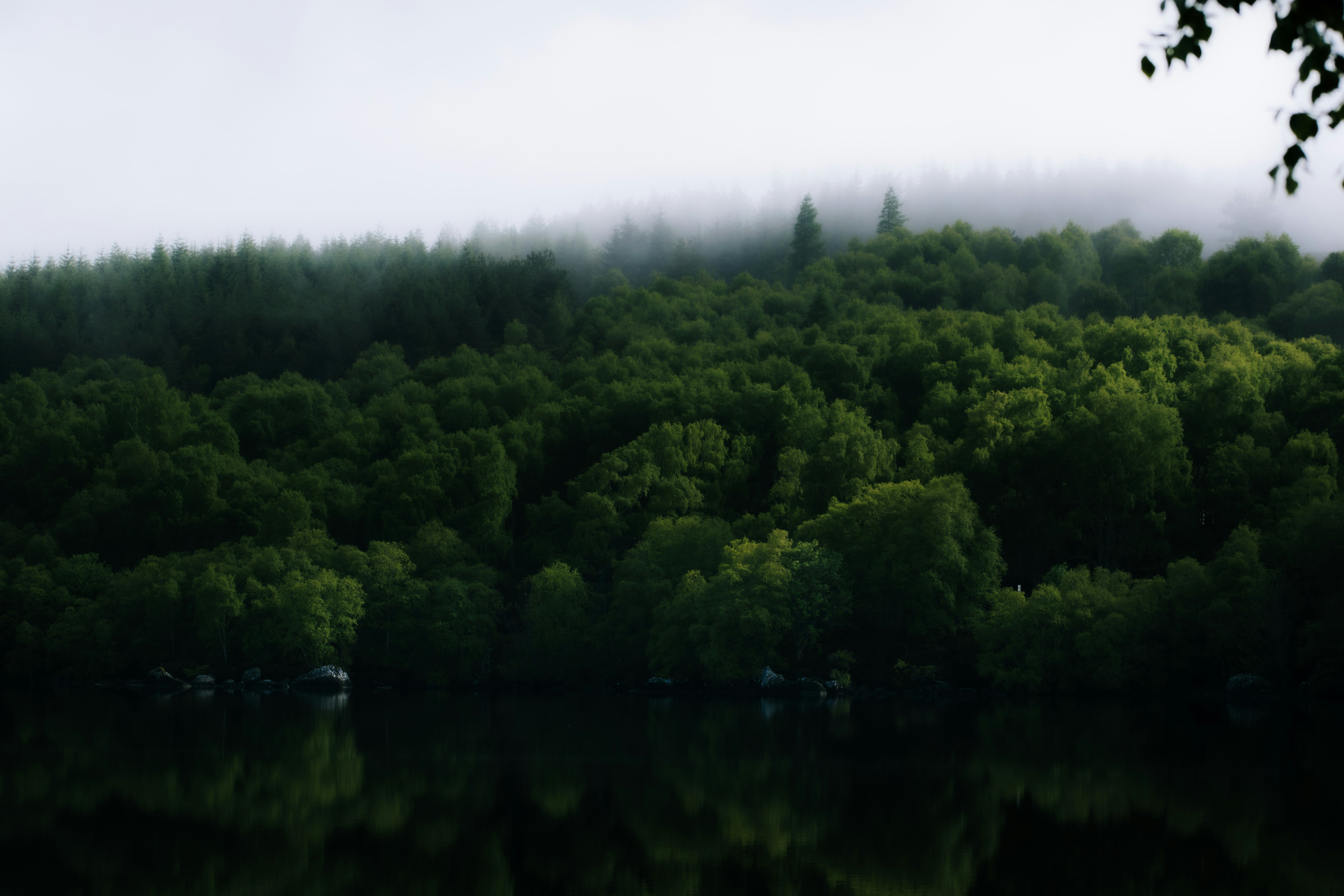 Photo by saulbanderaxi