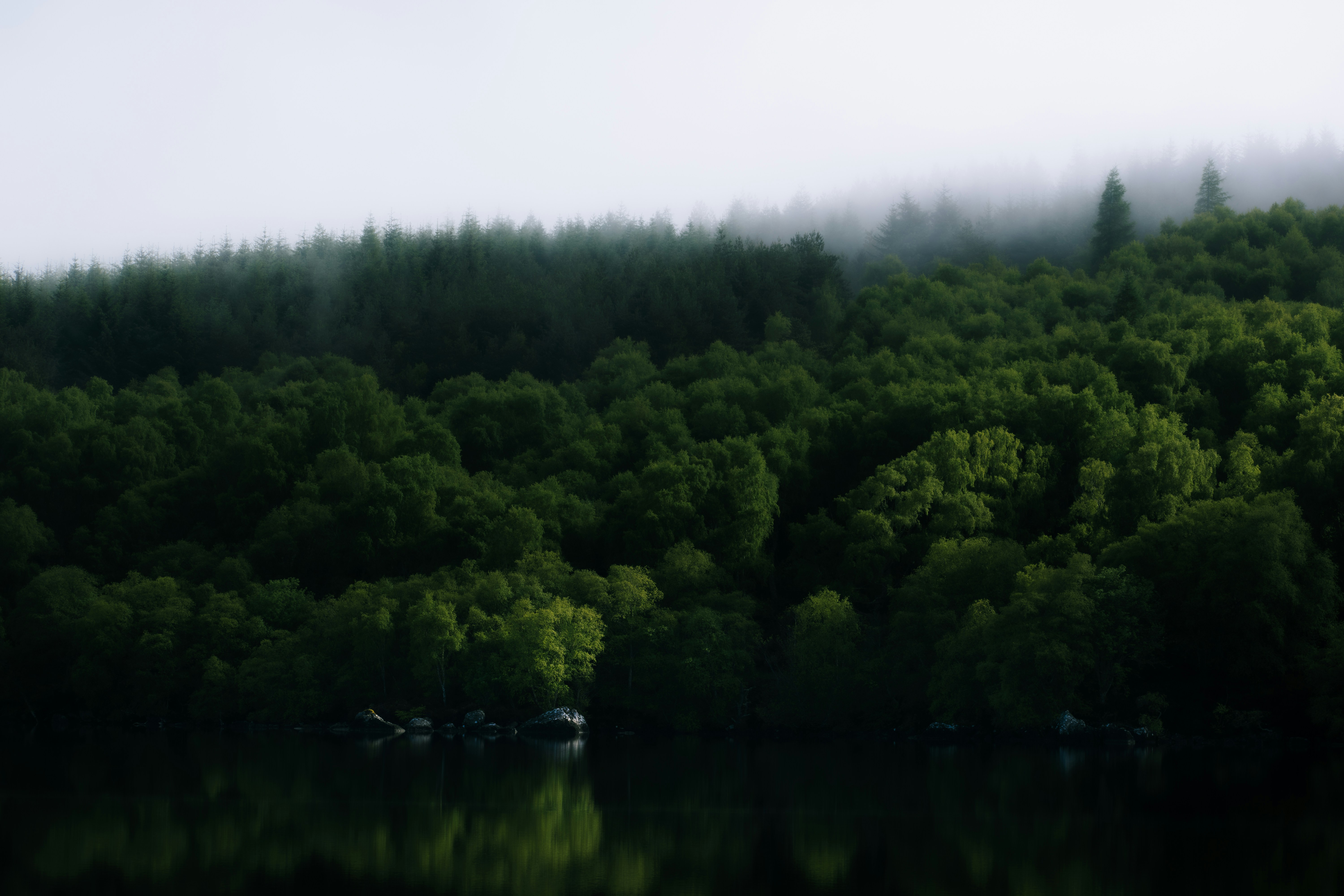 Photo by saulbanderaxi