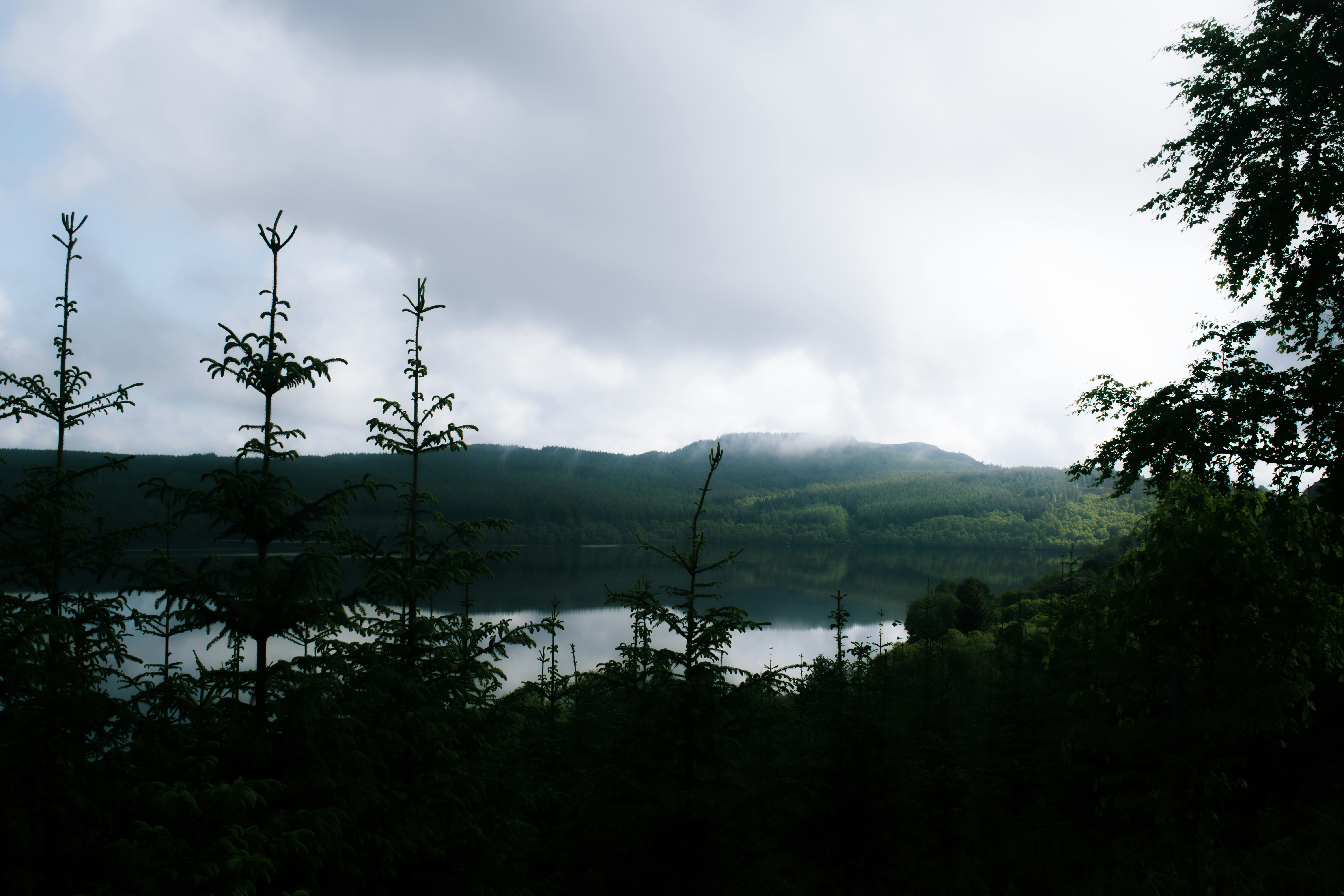 Photo by saulbanderaxi