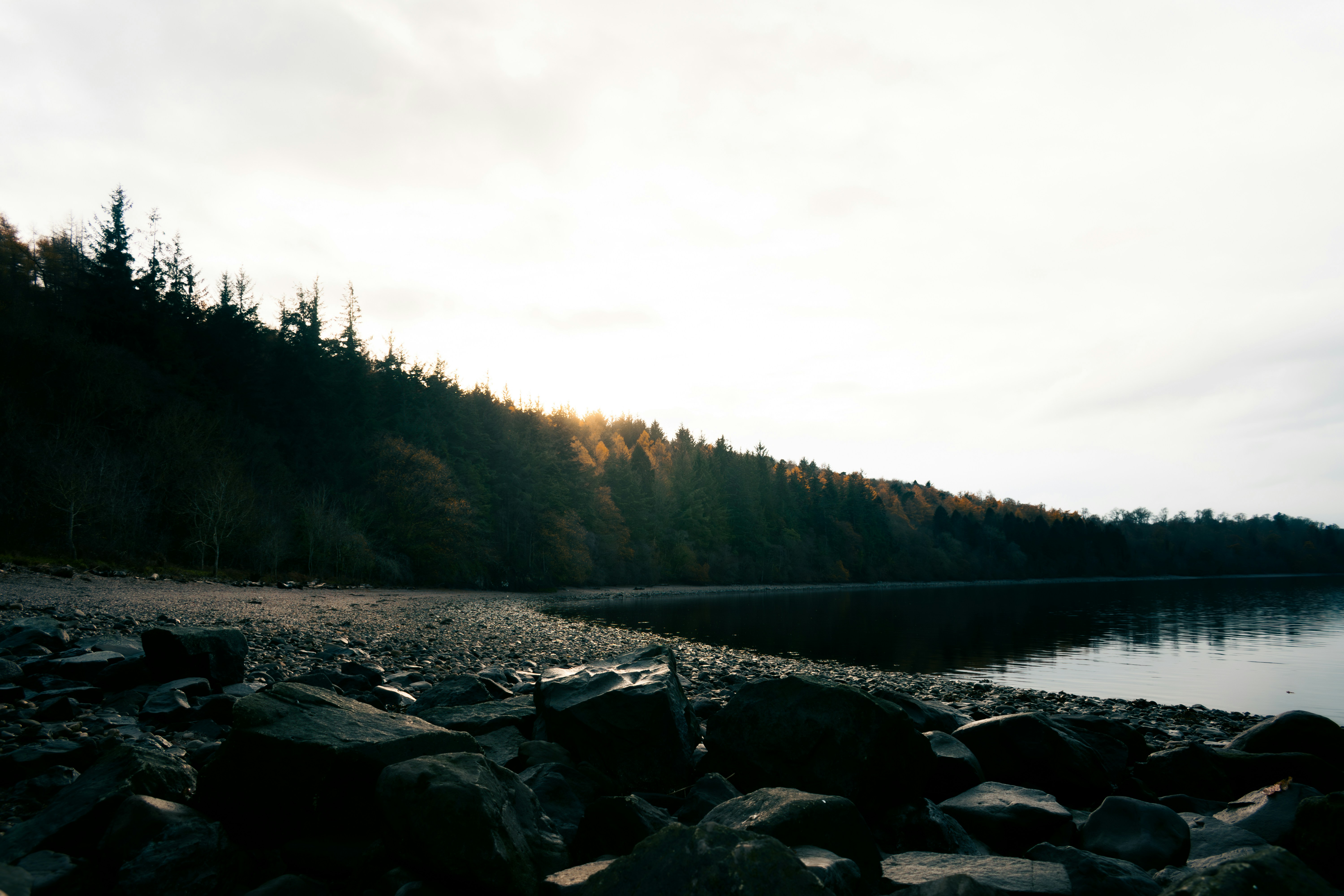 Photo by saulbanderaxi