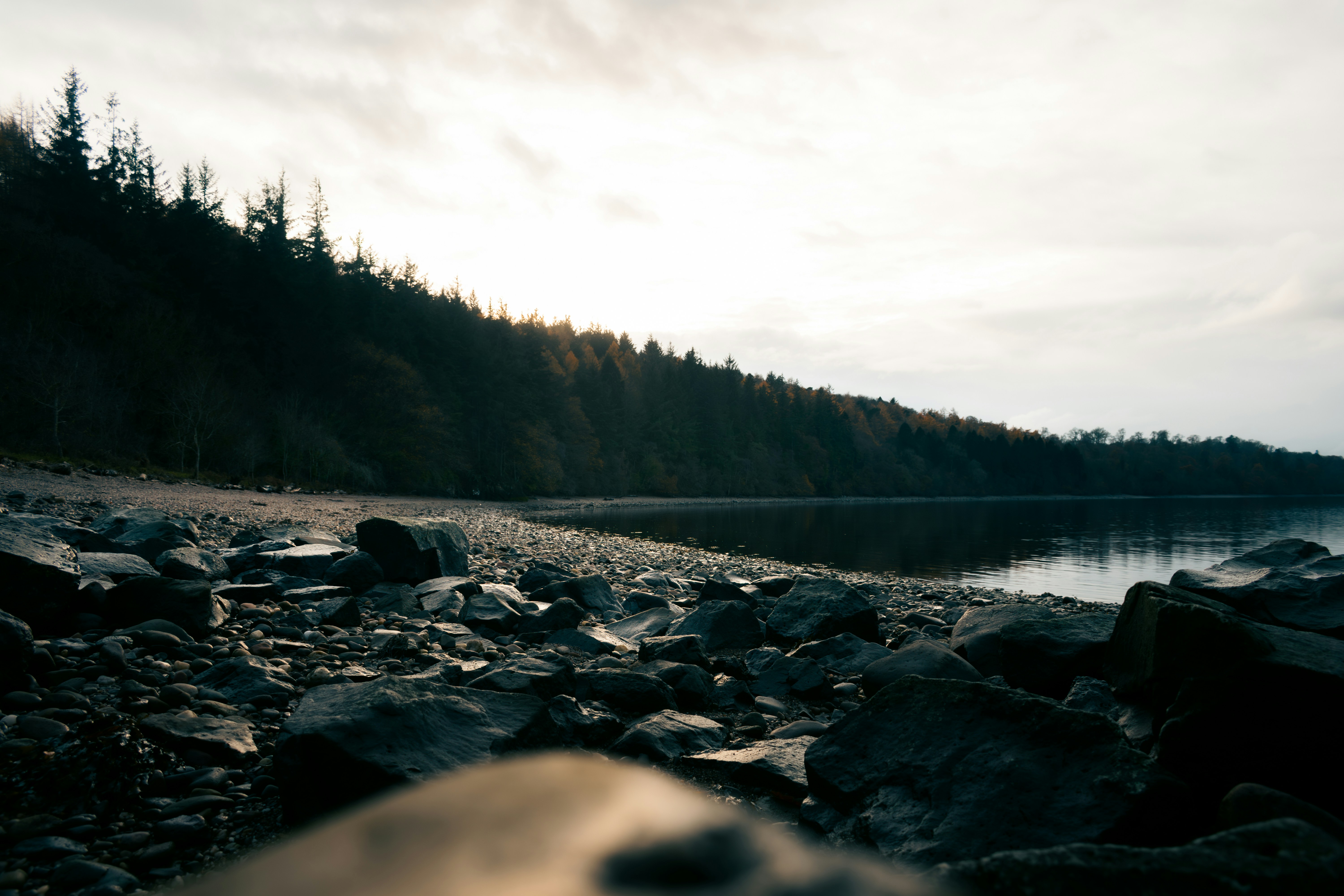 Photo by saulbanderaxi