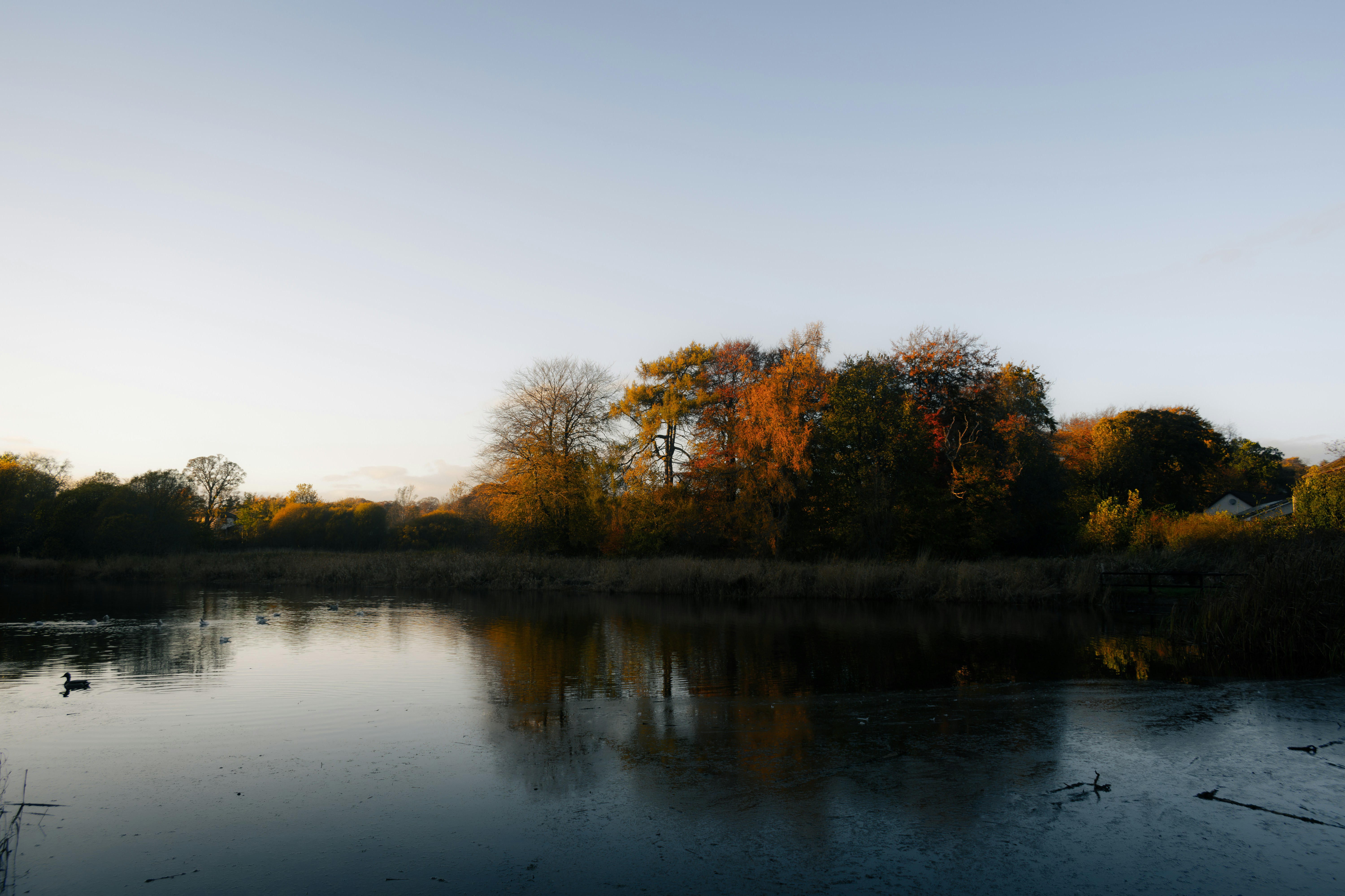 Photo by saulbanderaxi