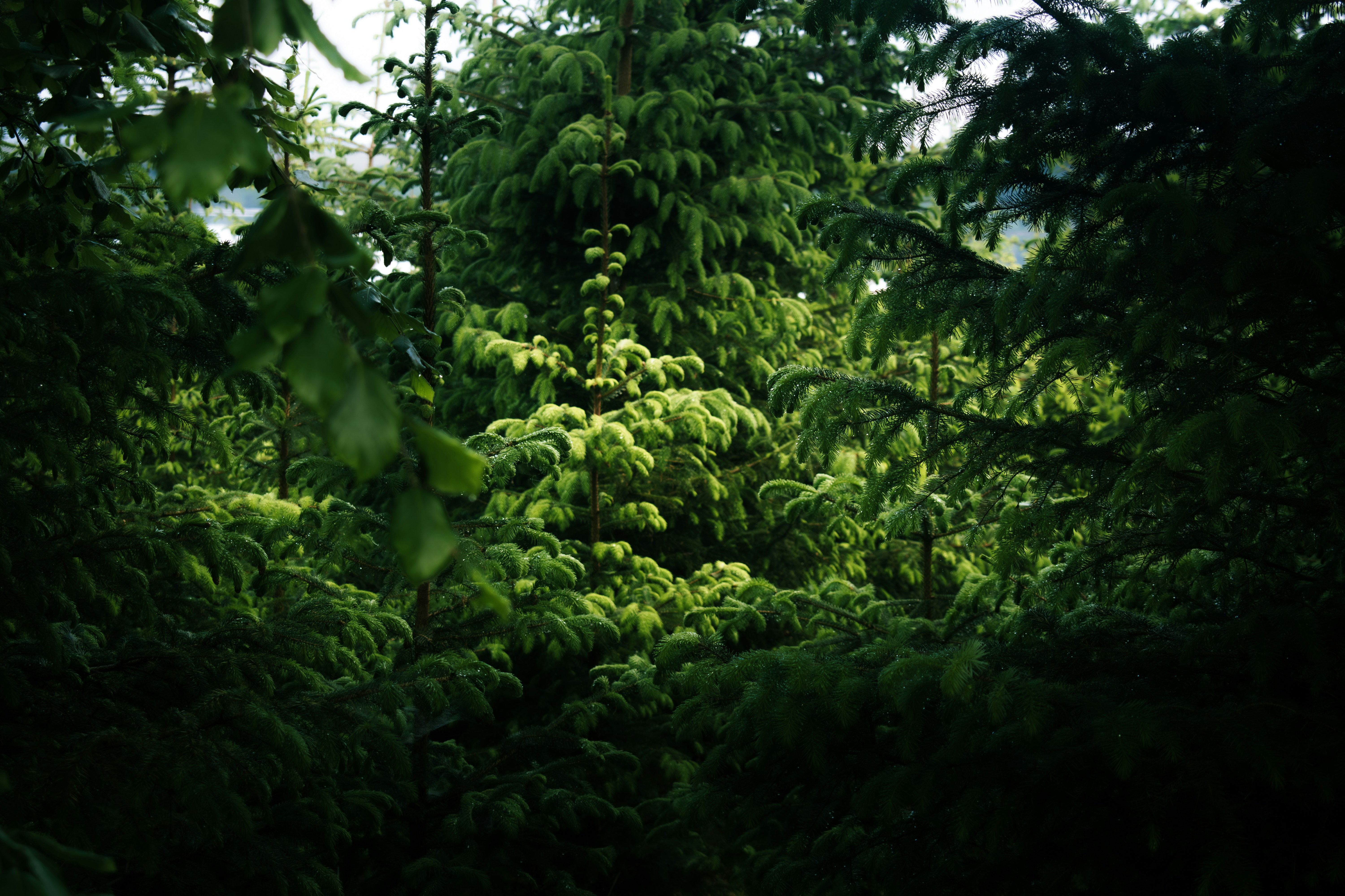 Photo by saulbanderaxi