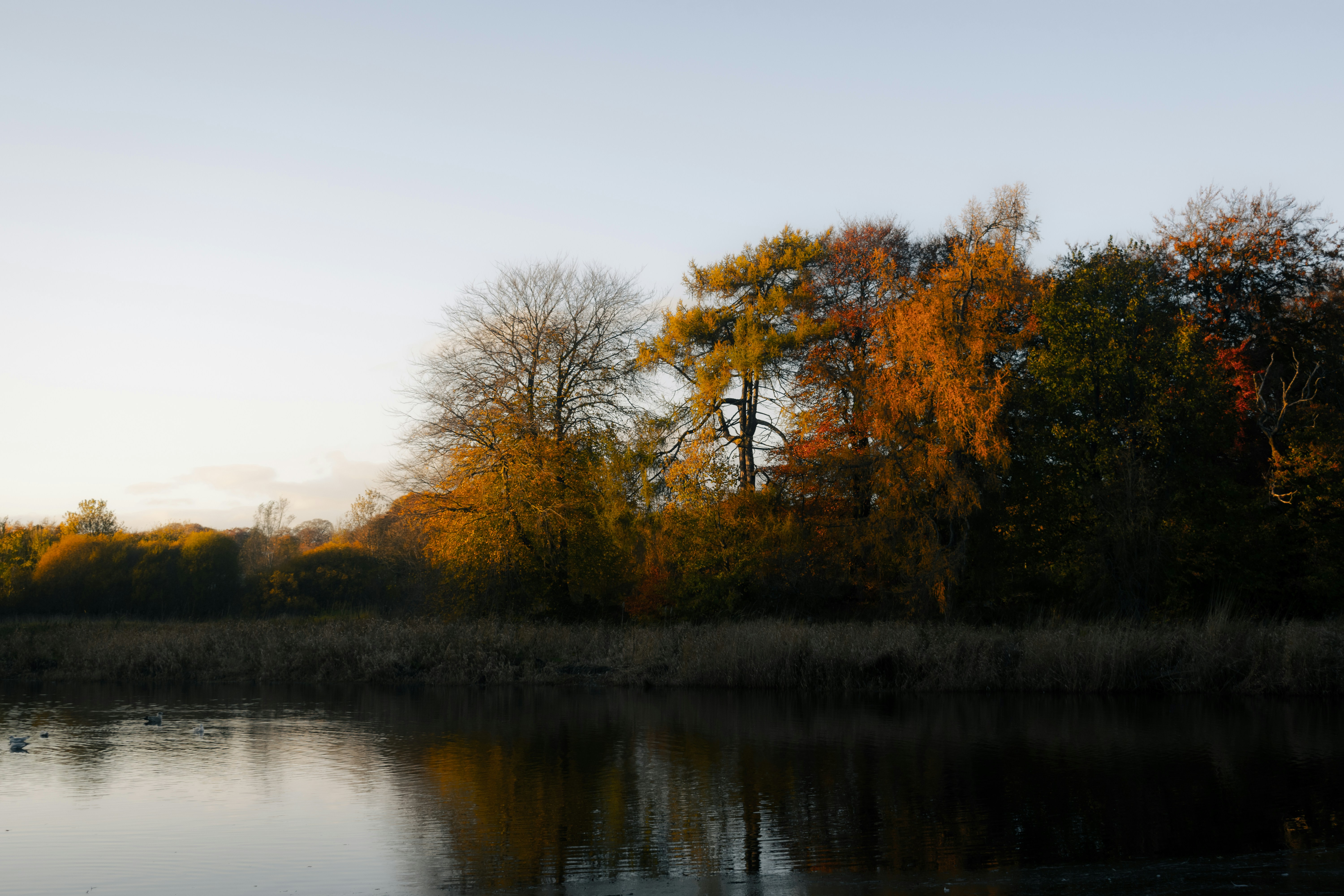 Photo by saulbanderaxi