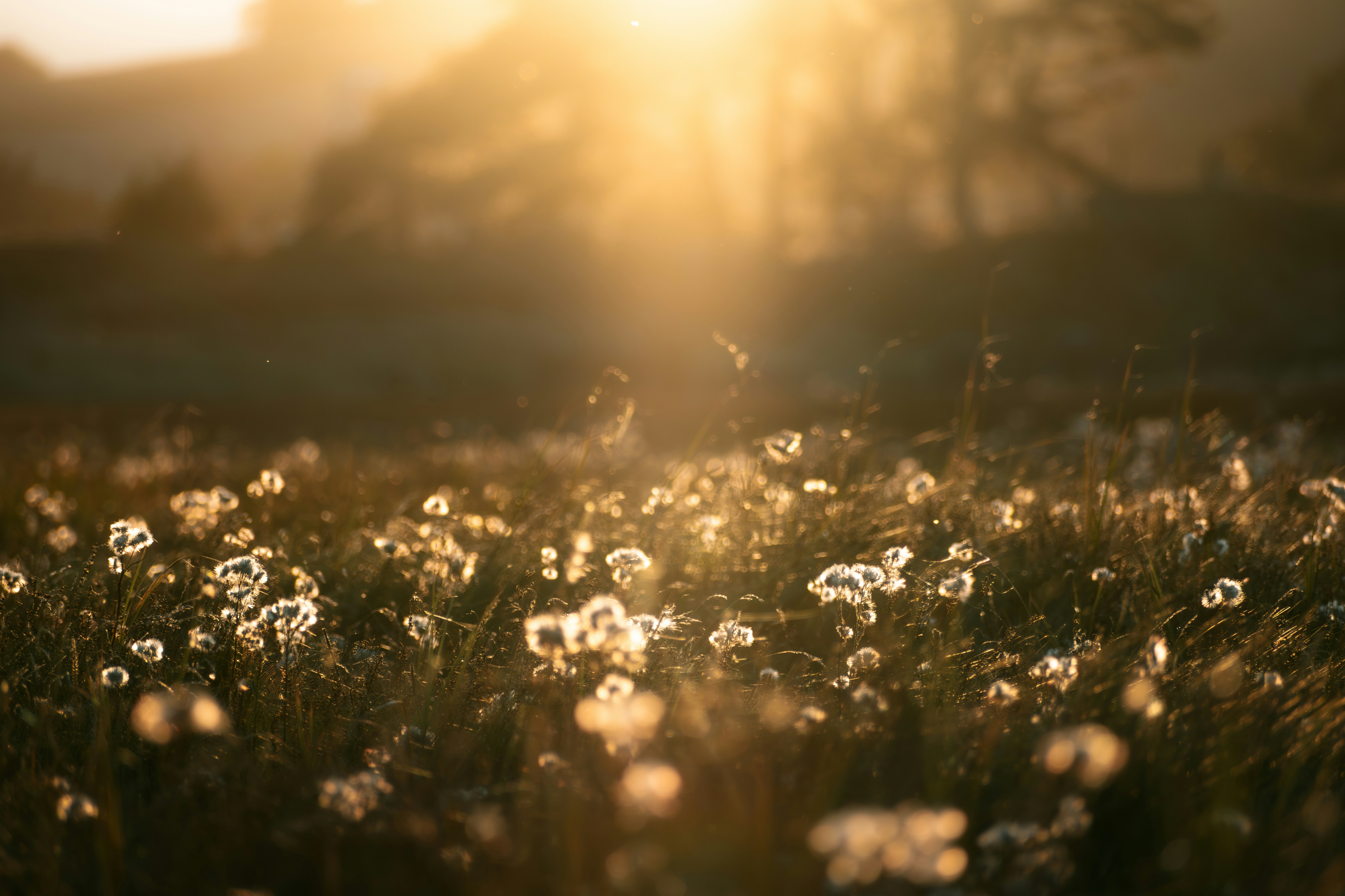 Photo by saulbanderaxi