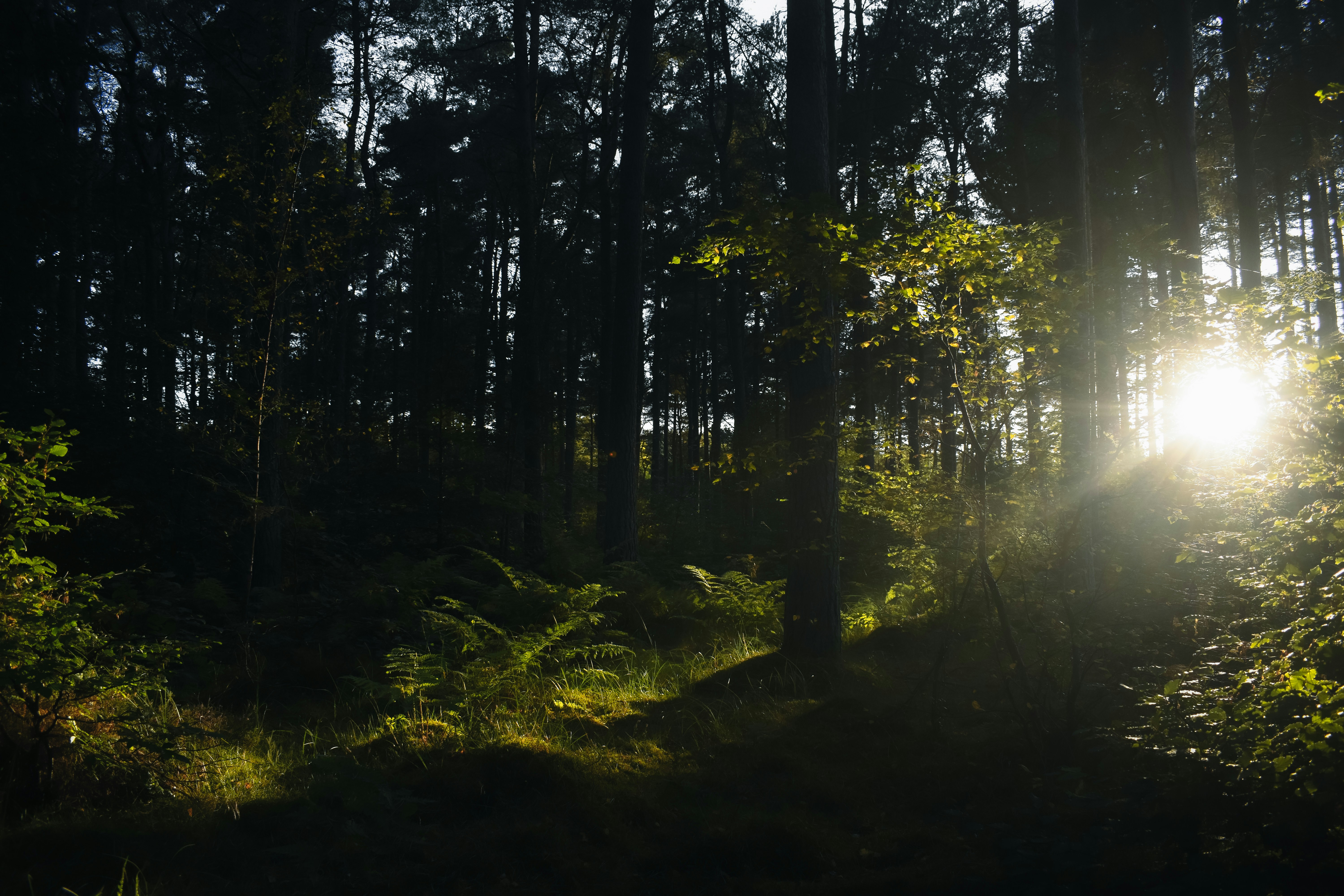 Photo by saulbanderaxi