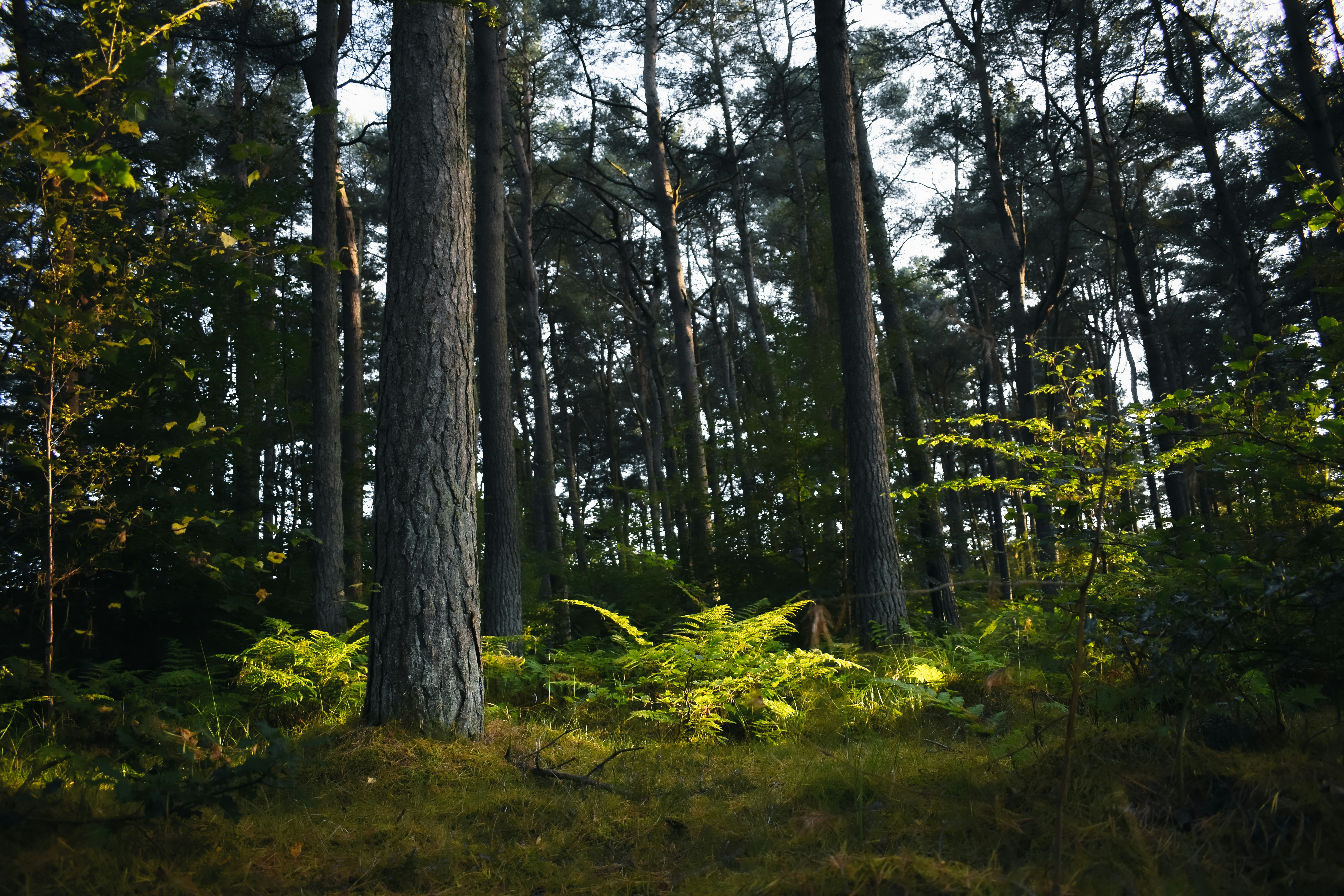 Photo by saulbanderaxi