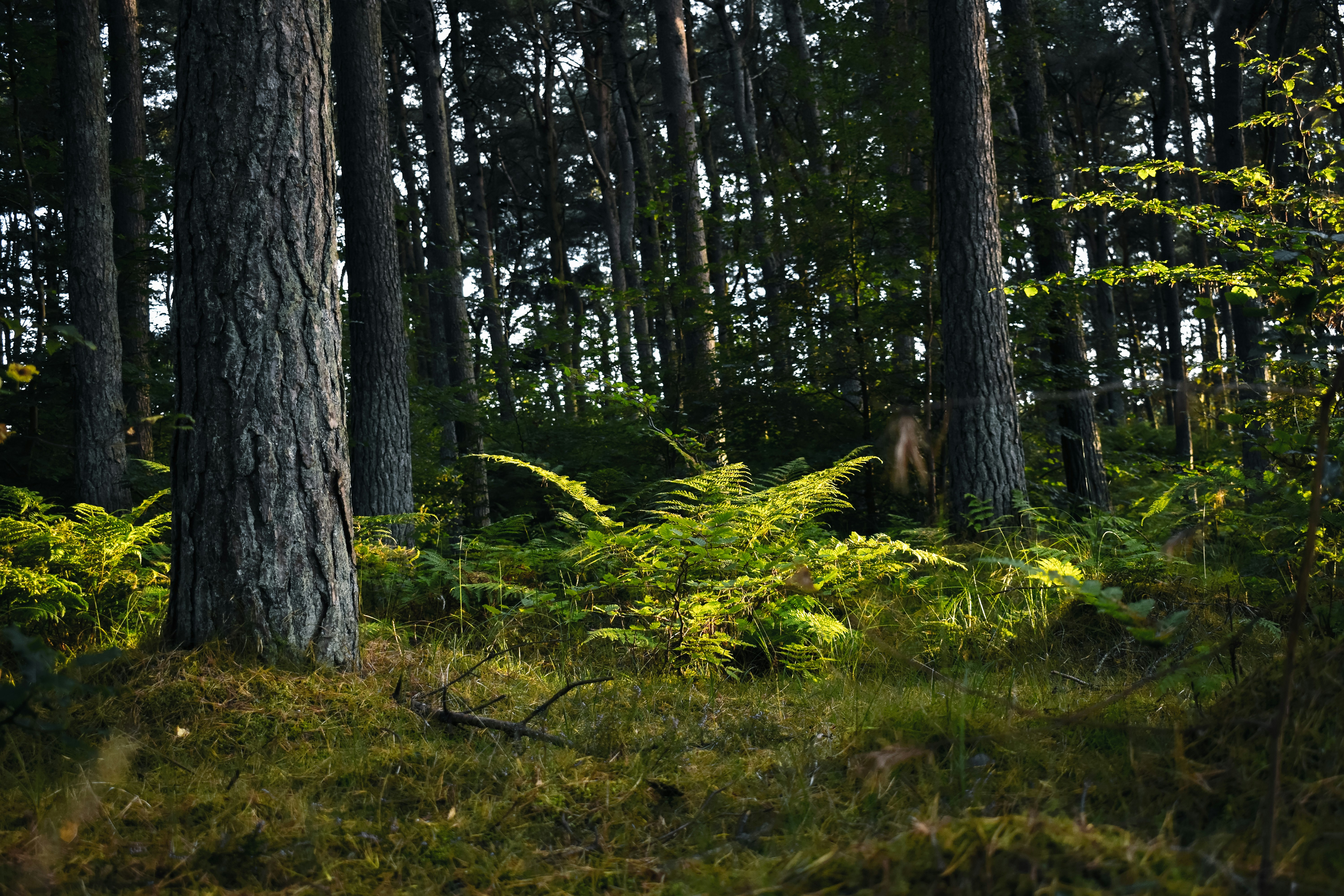 Photo by saulbanderaxi