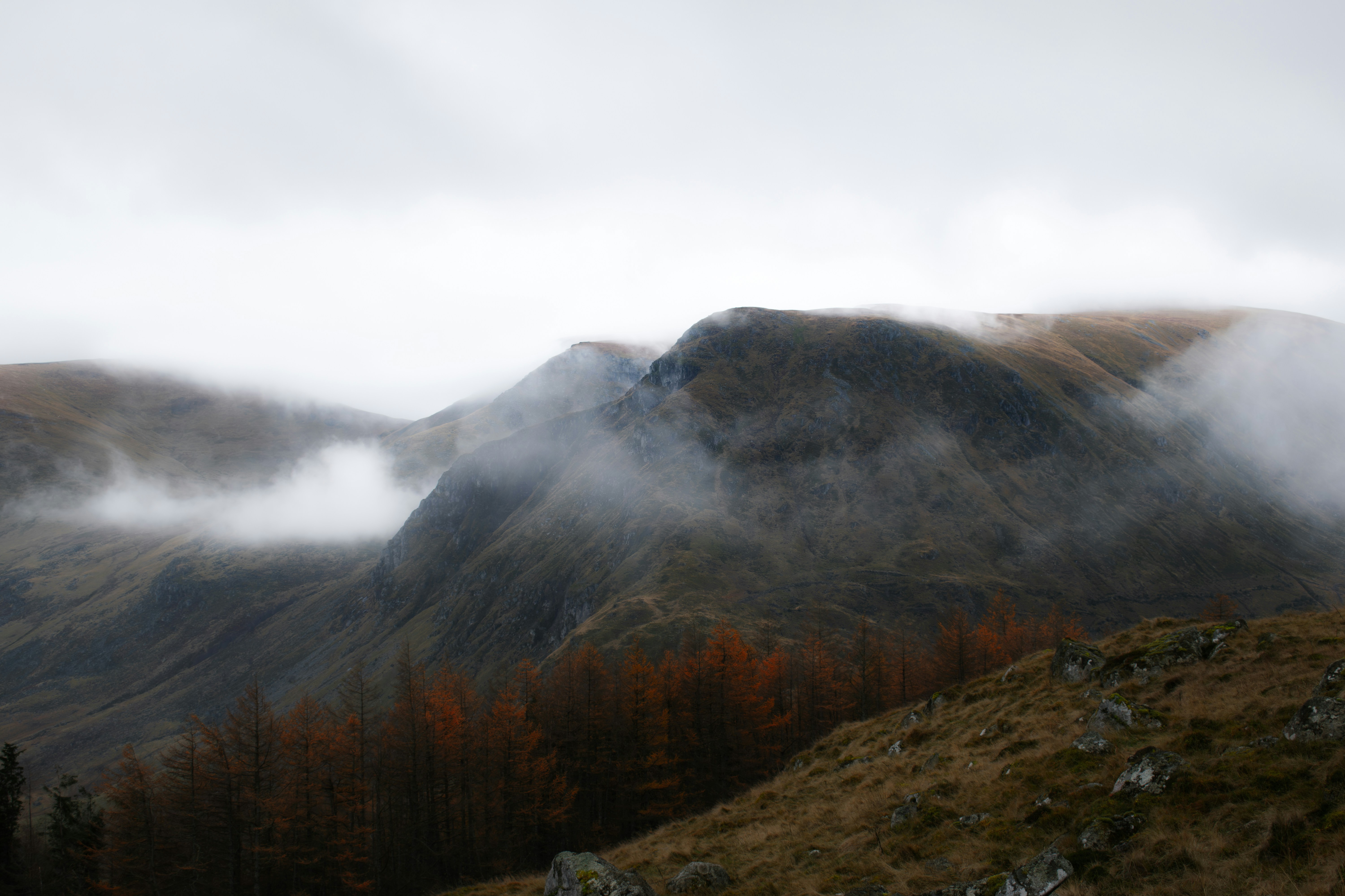 Photo by saulbanderaxi