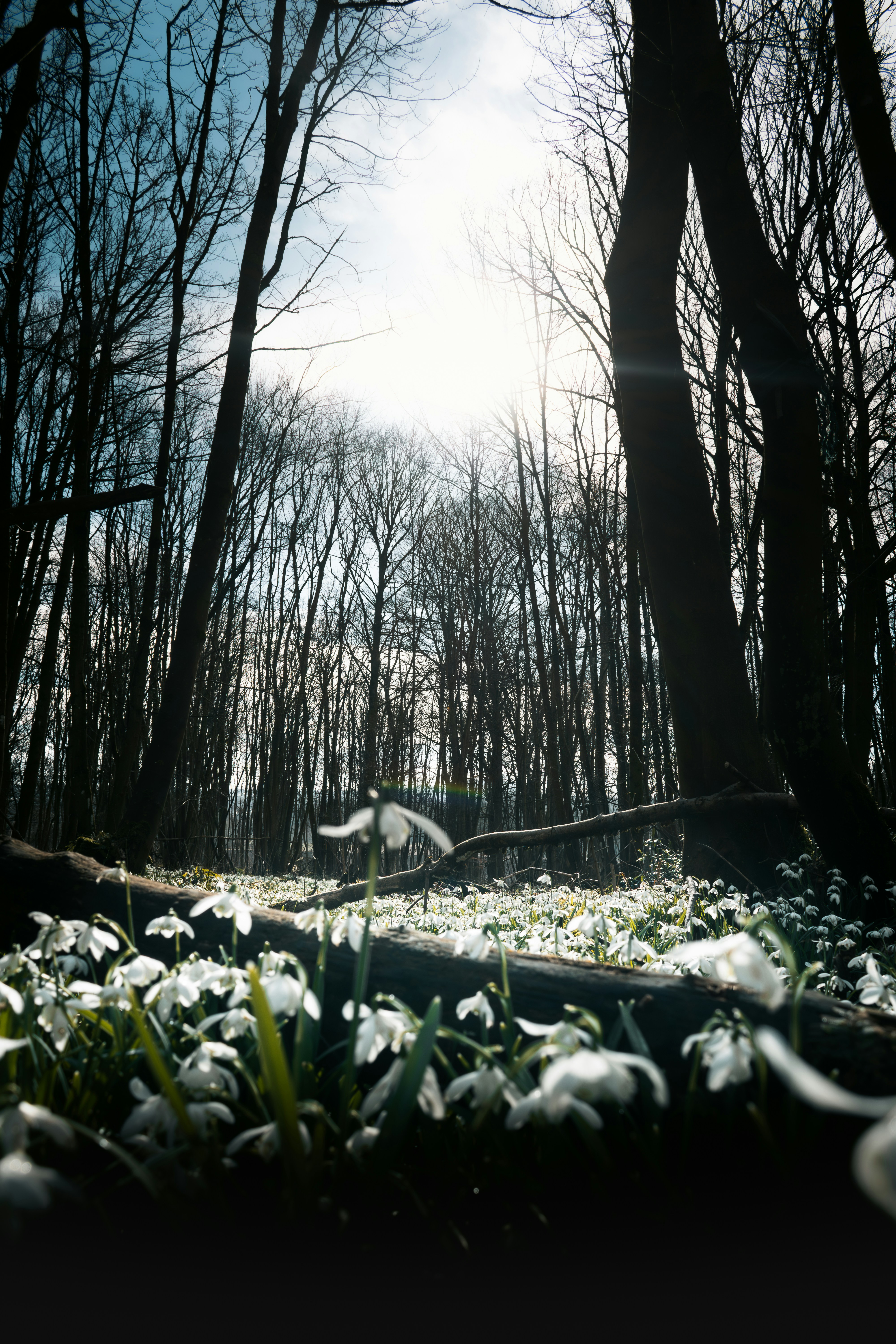 Photo by saulbanderaxi