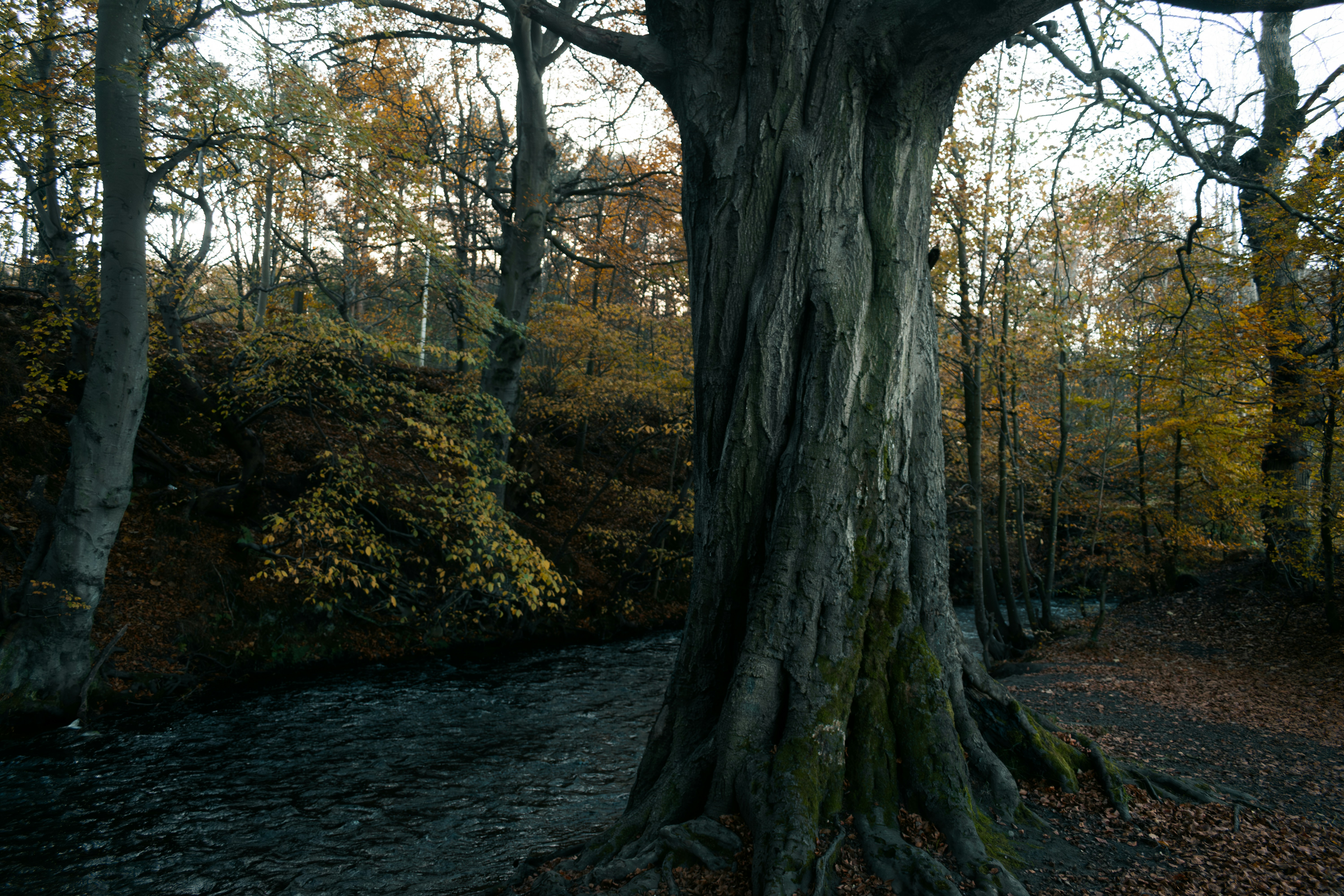 Photo by saulbanderaxi