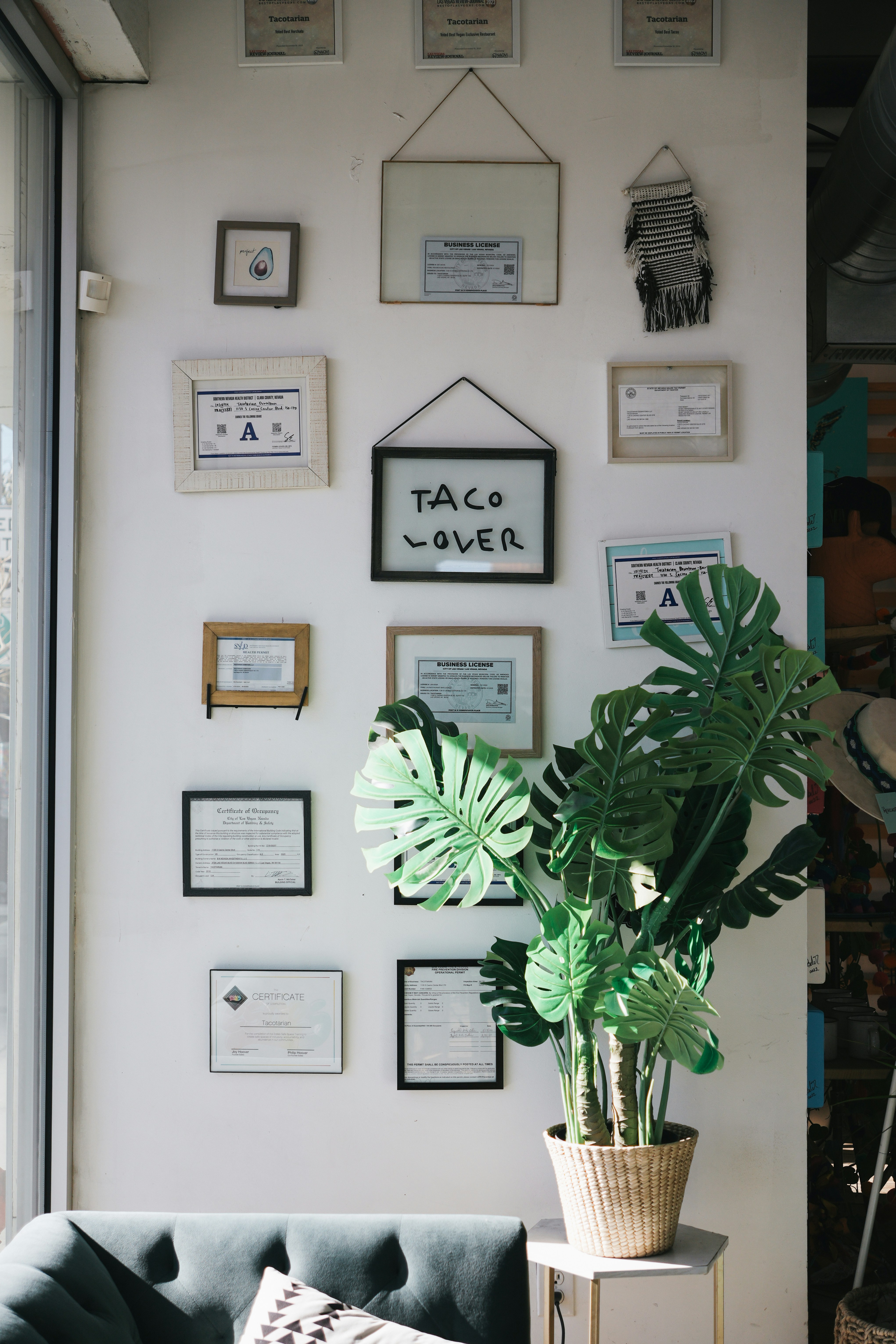 Ein Wohnzimmer mit einer Couch und einer Topfpflanze