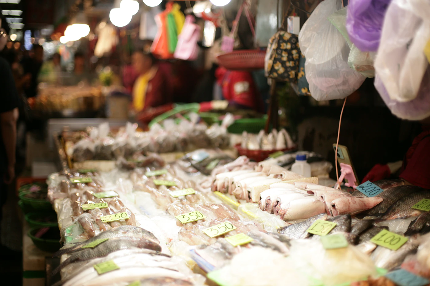 Mercury in Fish: Which Are Safe to Eat Every Day?