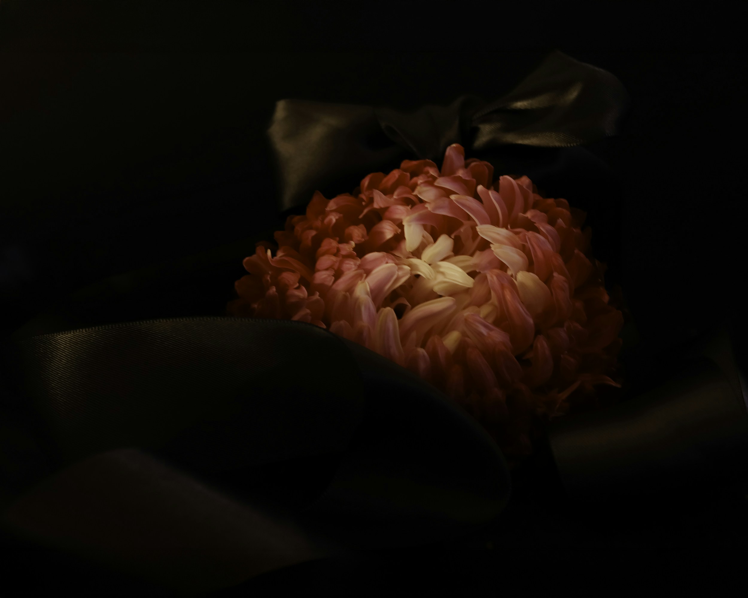 pink ribbon wallpaper, wallpaper, 6 Perbedaan Bisul dan Kanker Payudara 2