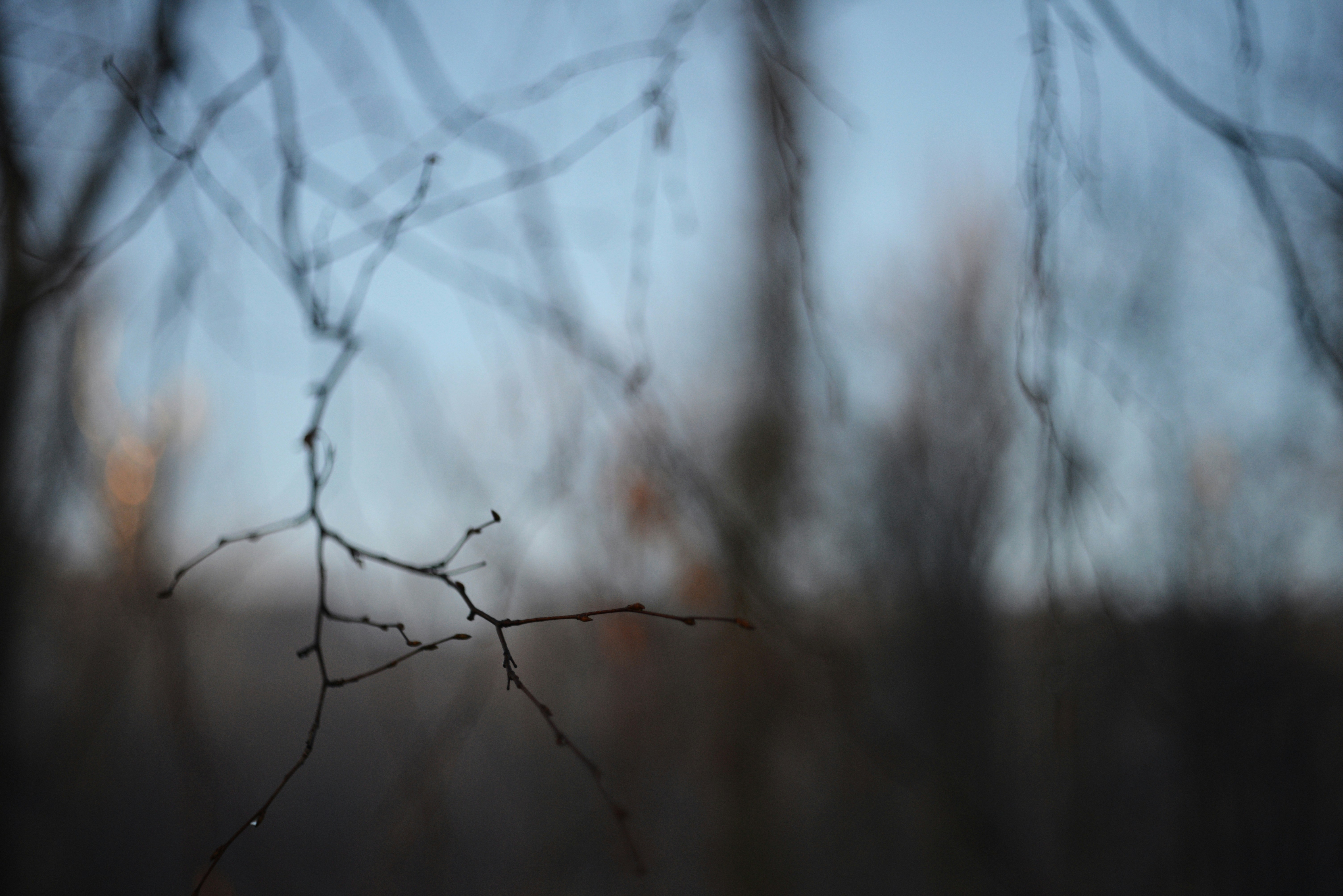 Photo by cherstve_pechivo