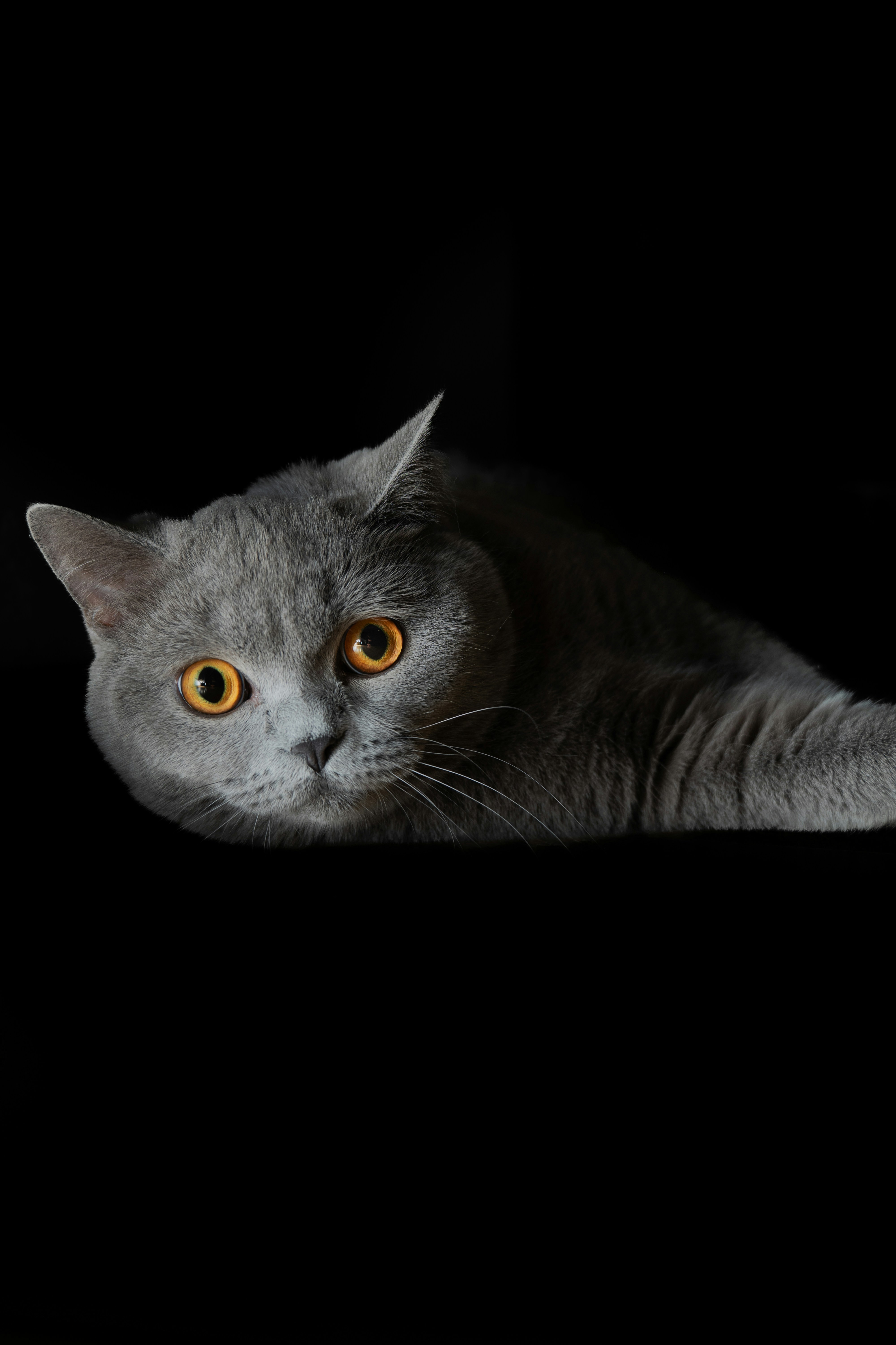 Photo by lukasparnican