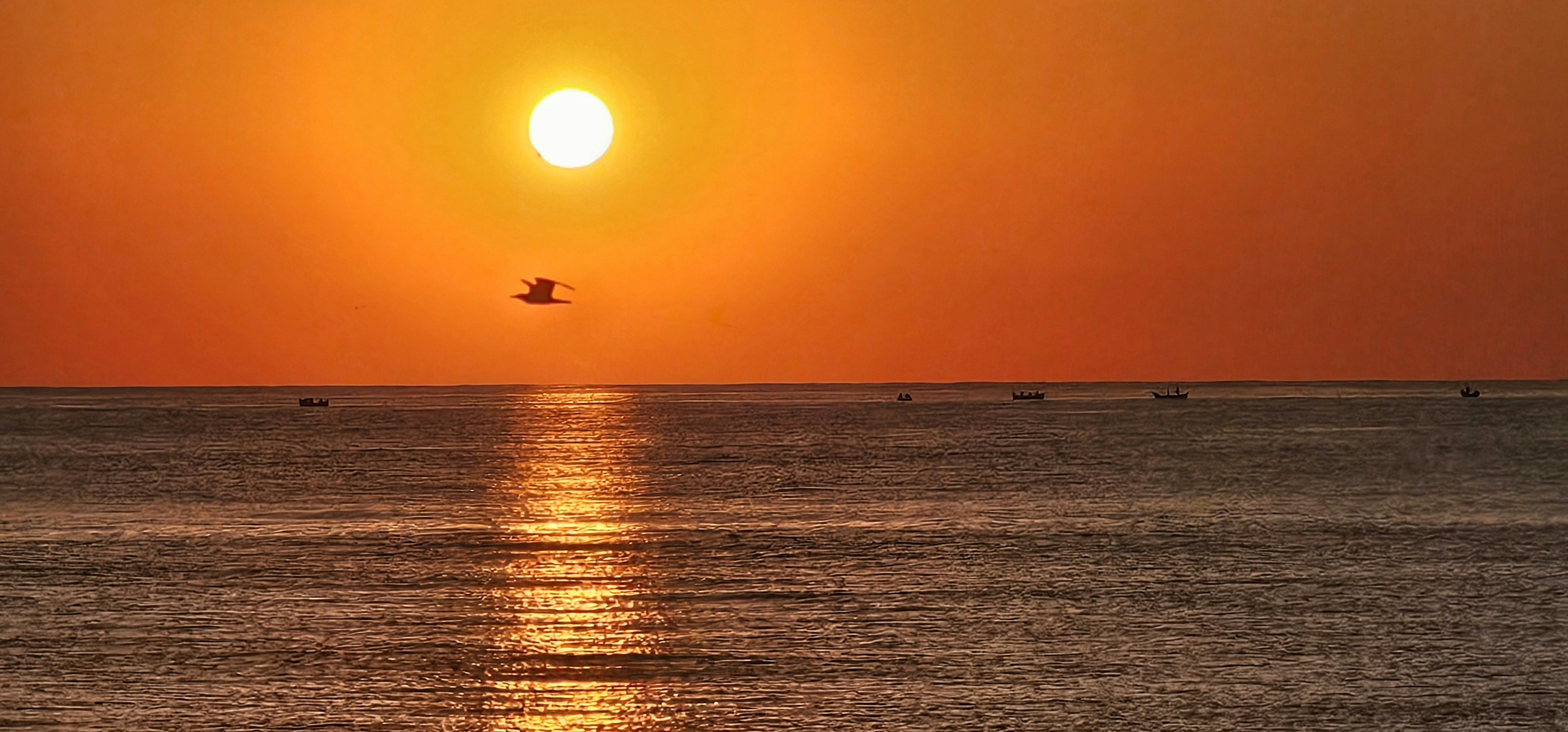 The sun is setting over the ocean with a bird flying in the distance