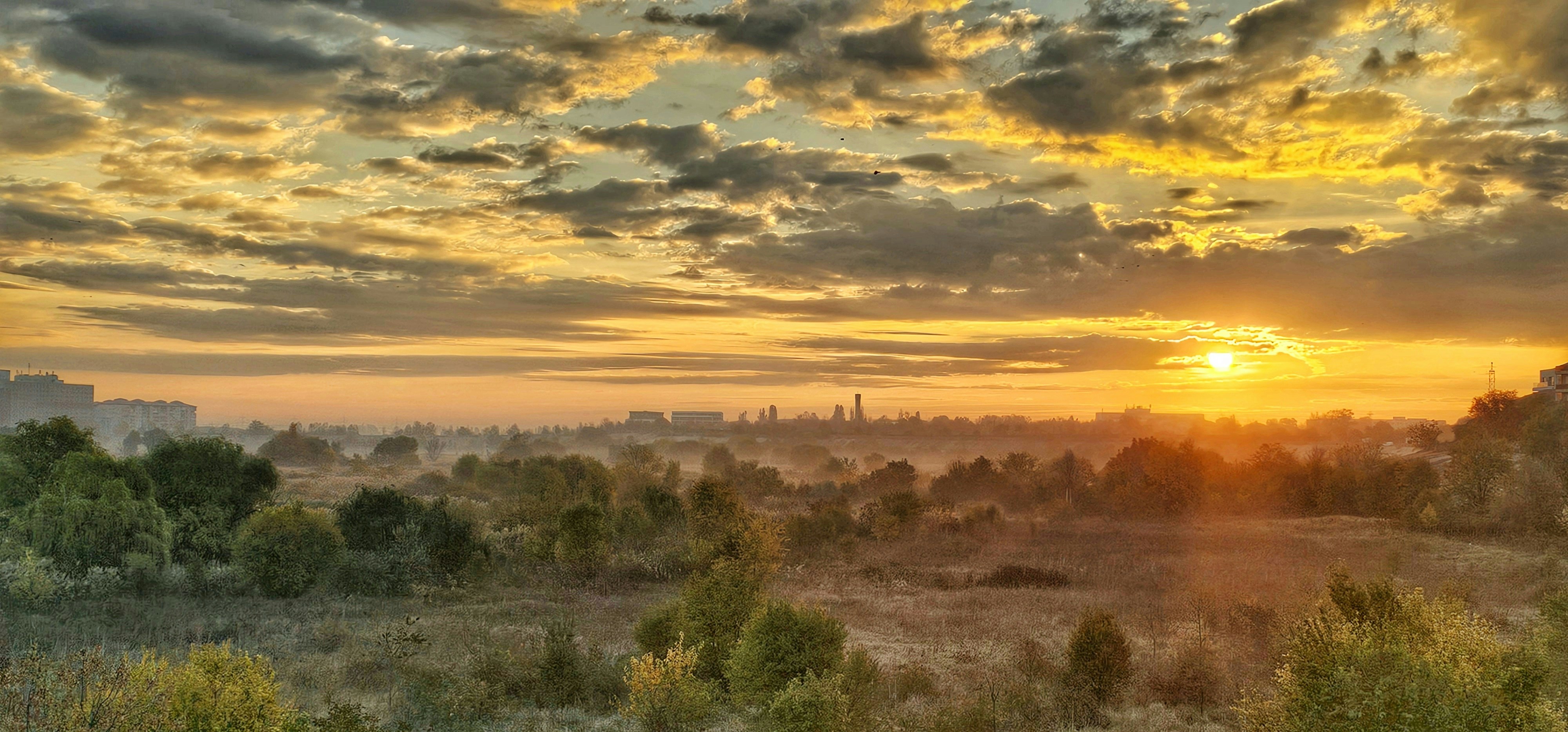 The sun is setting over a field with trees