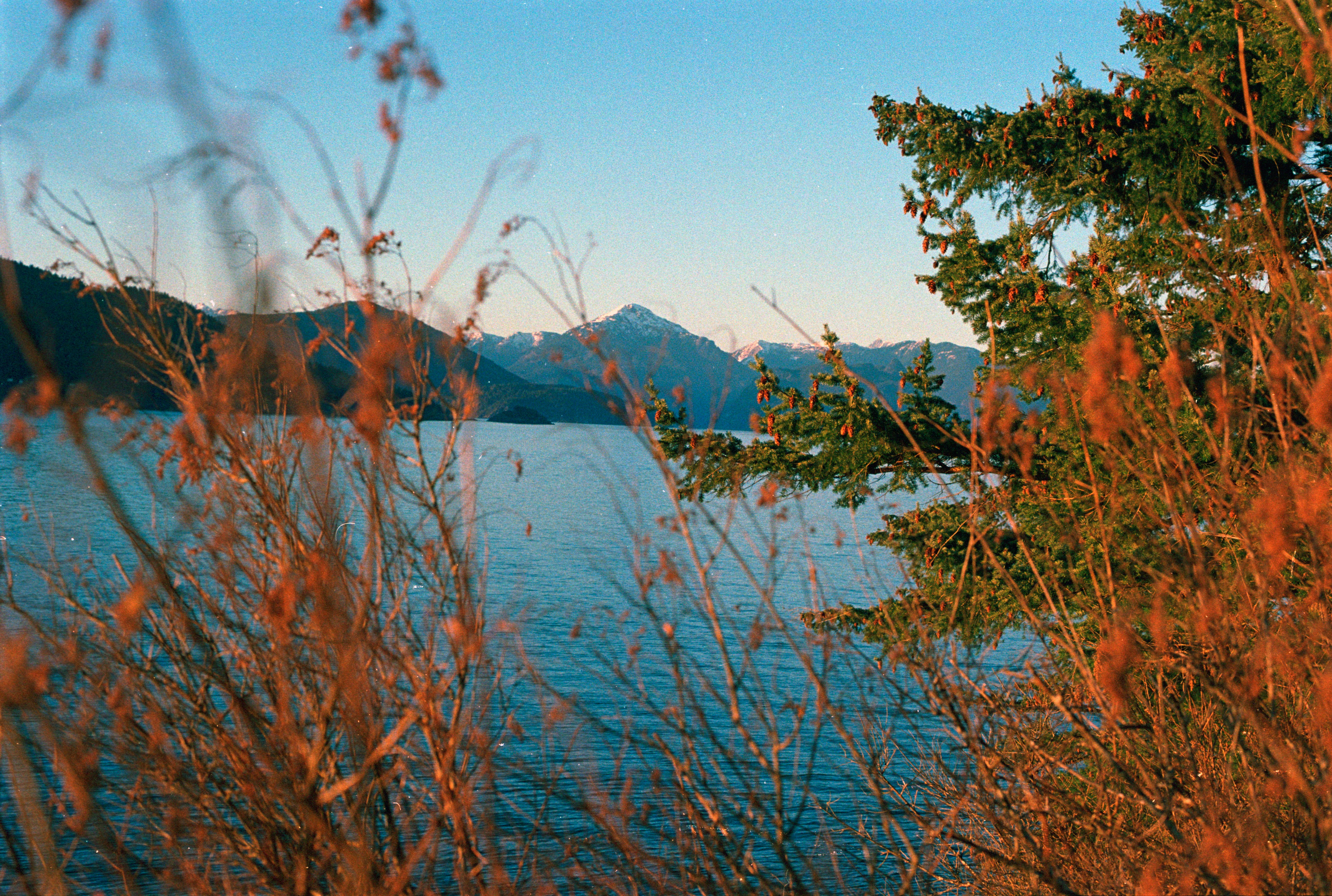 Scenic view of Table Rock Lake - fishing boats for sale in missouri