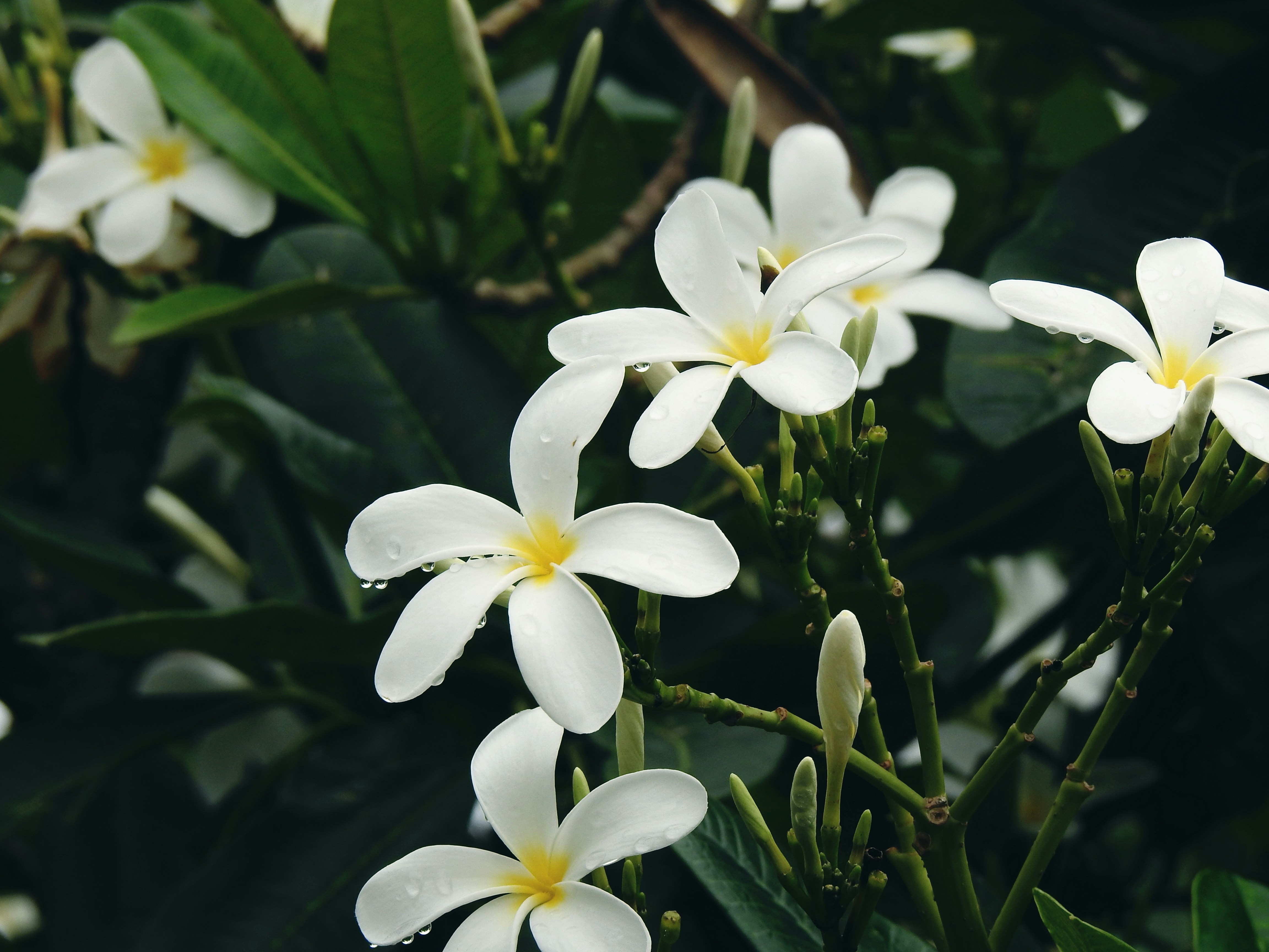 Photo by natureandmylens