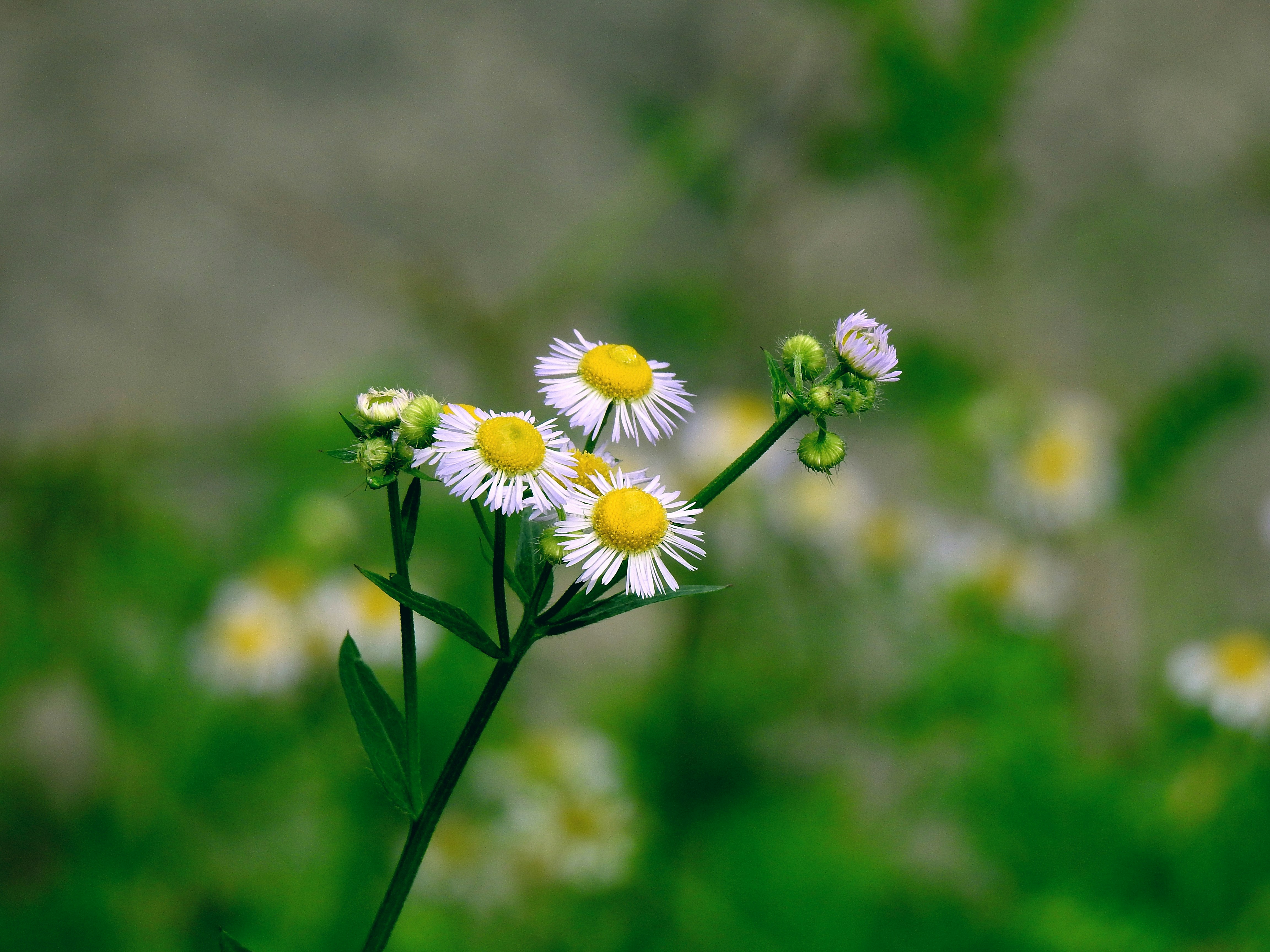 Photo by natureandmylens