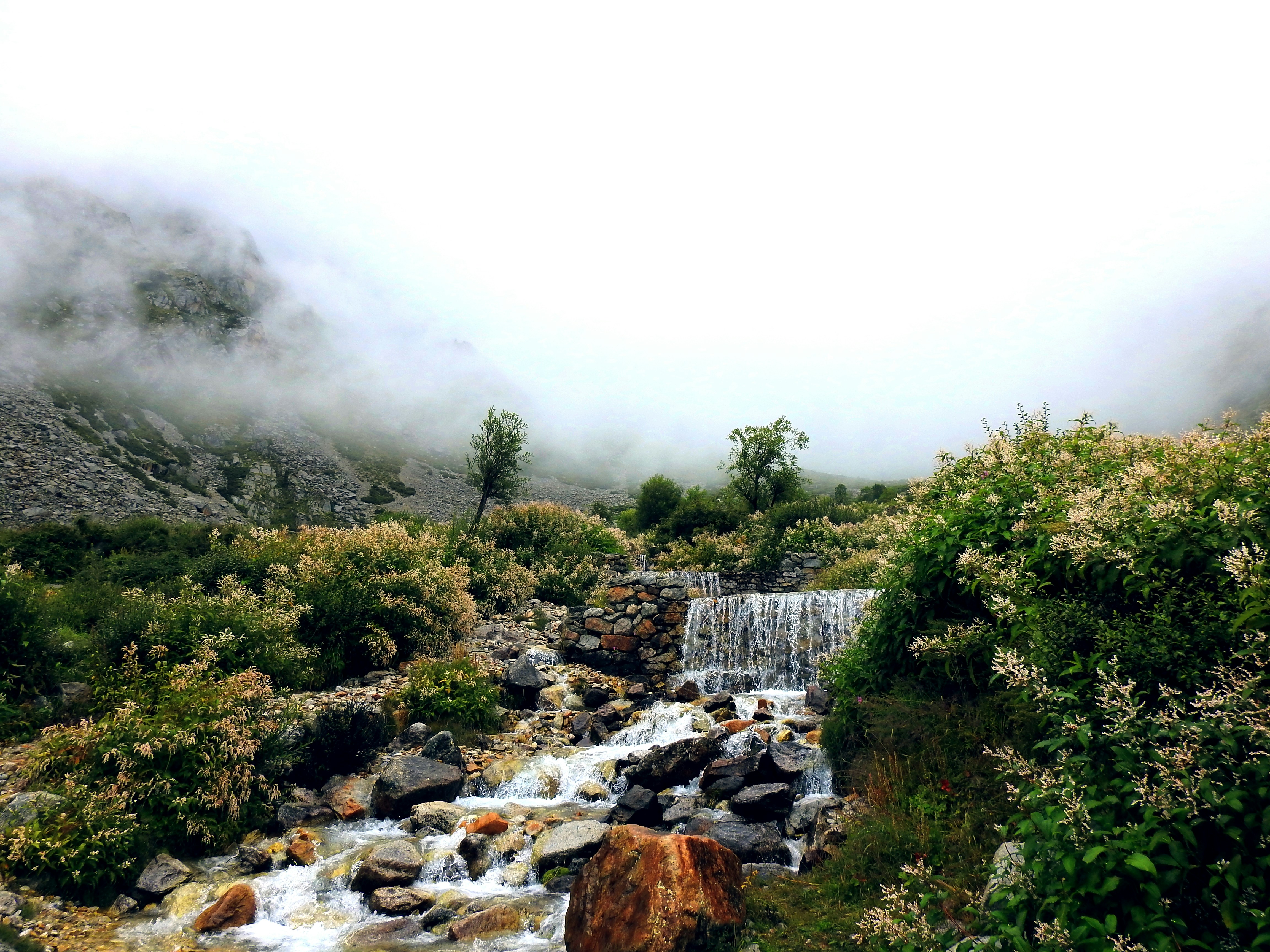 Photo by natureandmylens