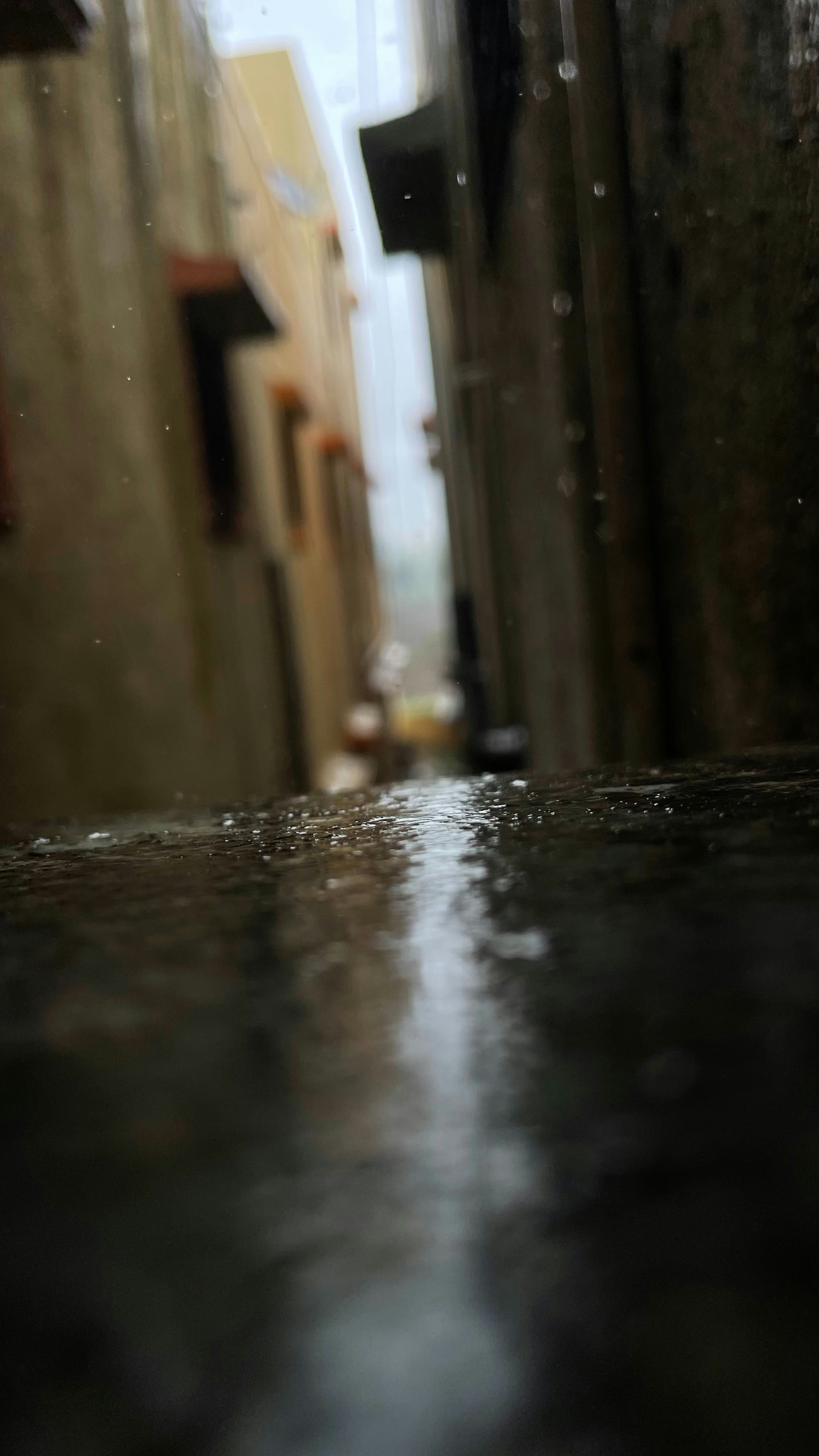 Photo by mrinal1082002