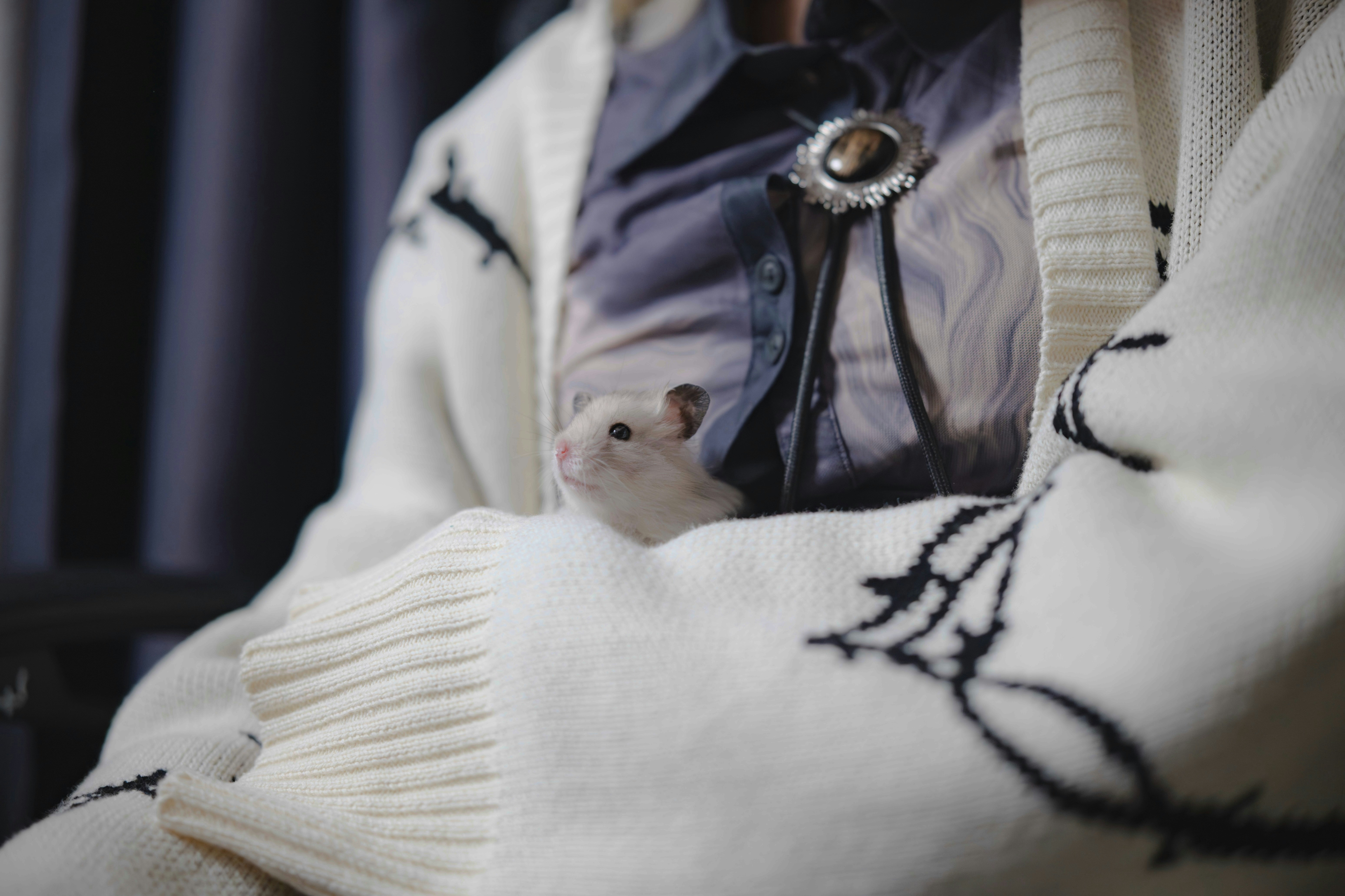 A person wearing a white sweater and a black tie